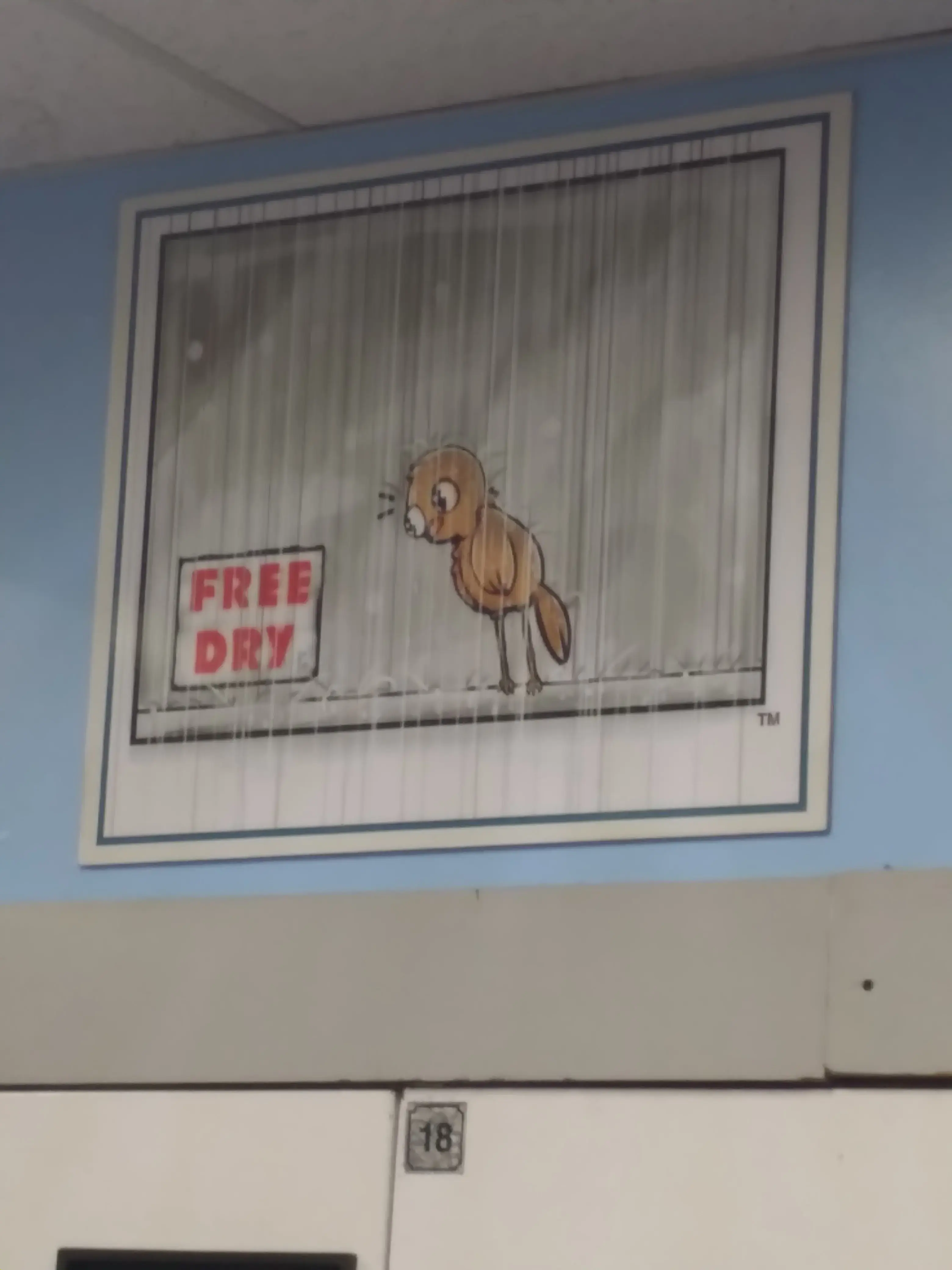 Dirty Bird Laundry thumbnail 6