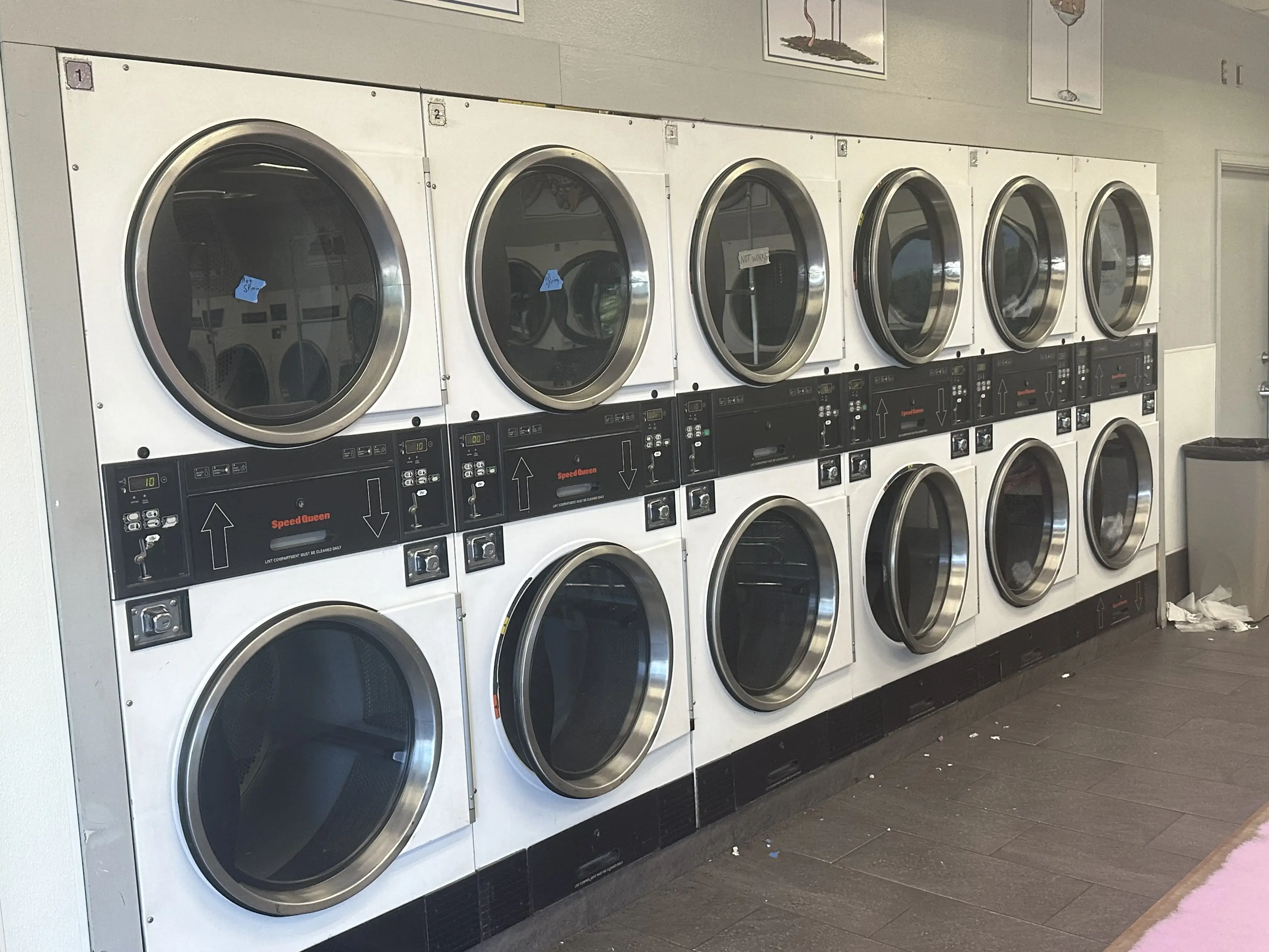 Dirty Bird Laundry - Image 2