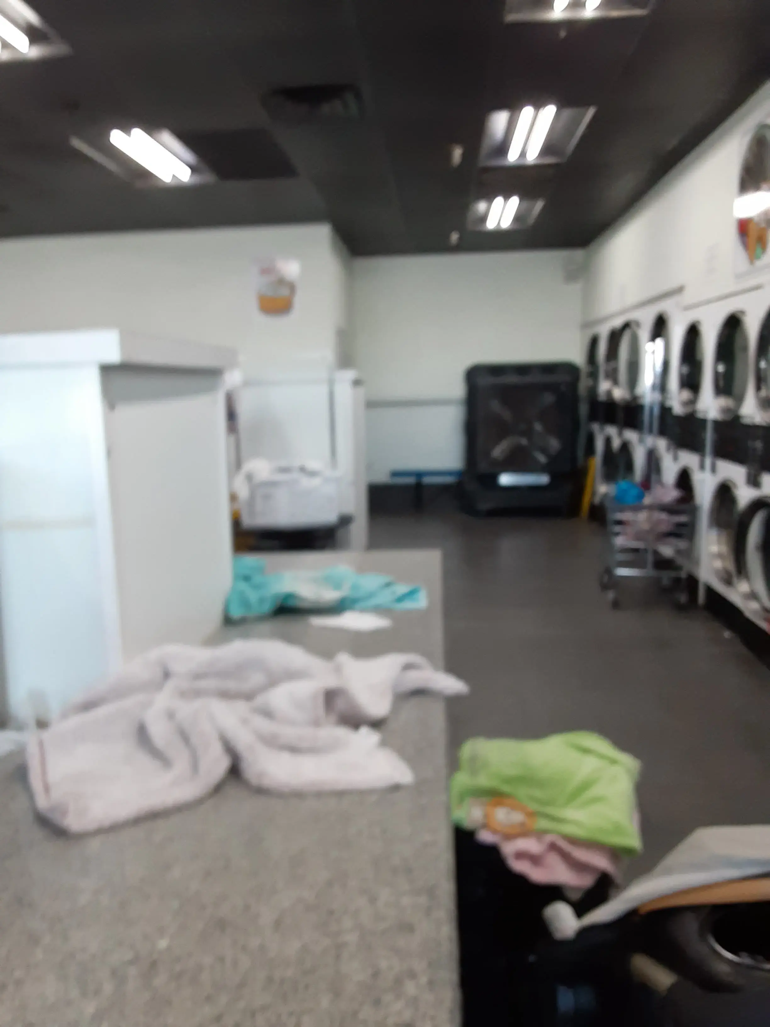 Dirty Bird Laundry thumbnail 10