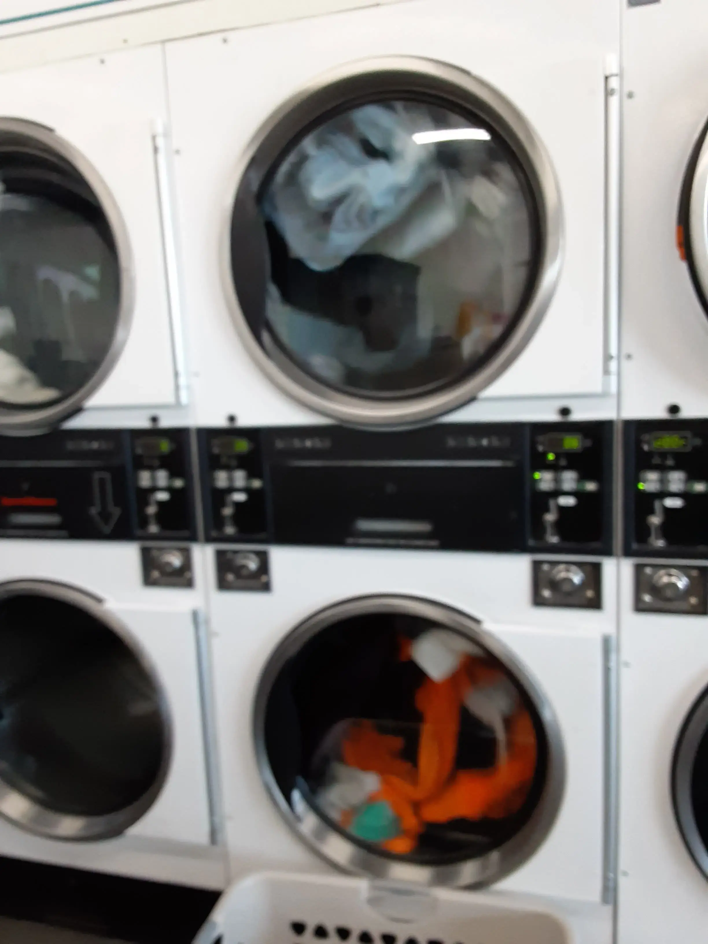 Dirty Bird Laundry - Image 13