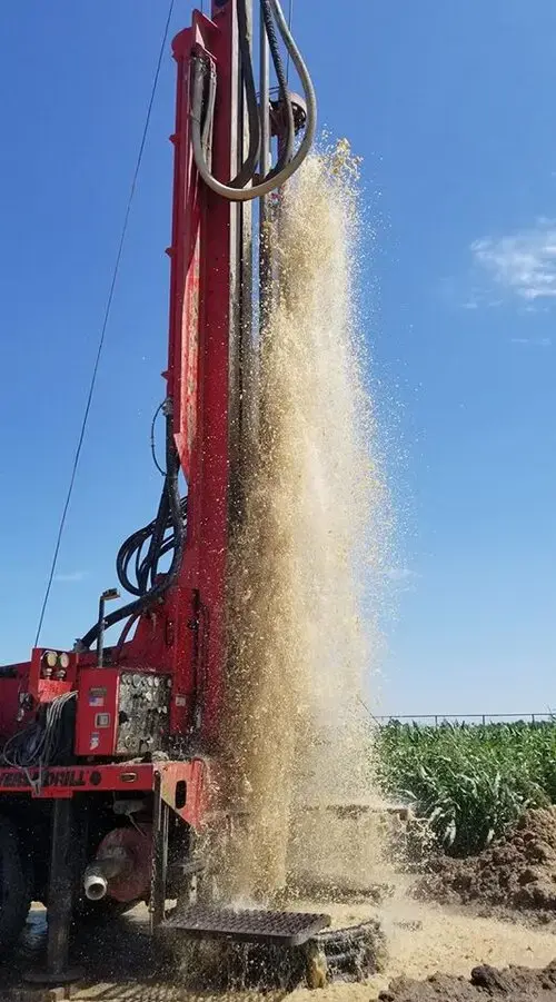 Dirty Bird Laundry thumbnail 12