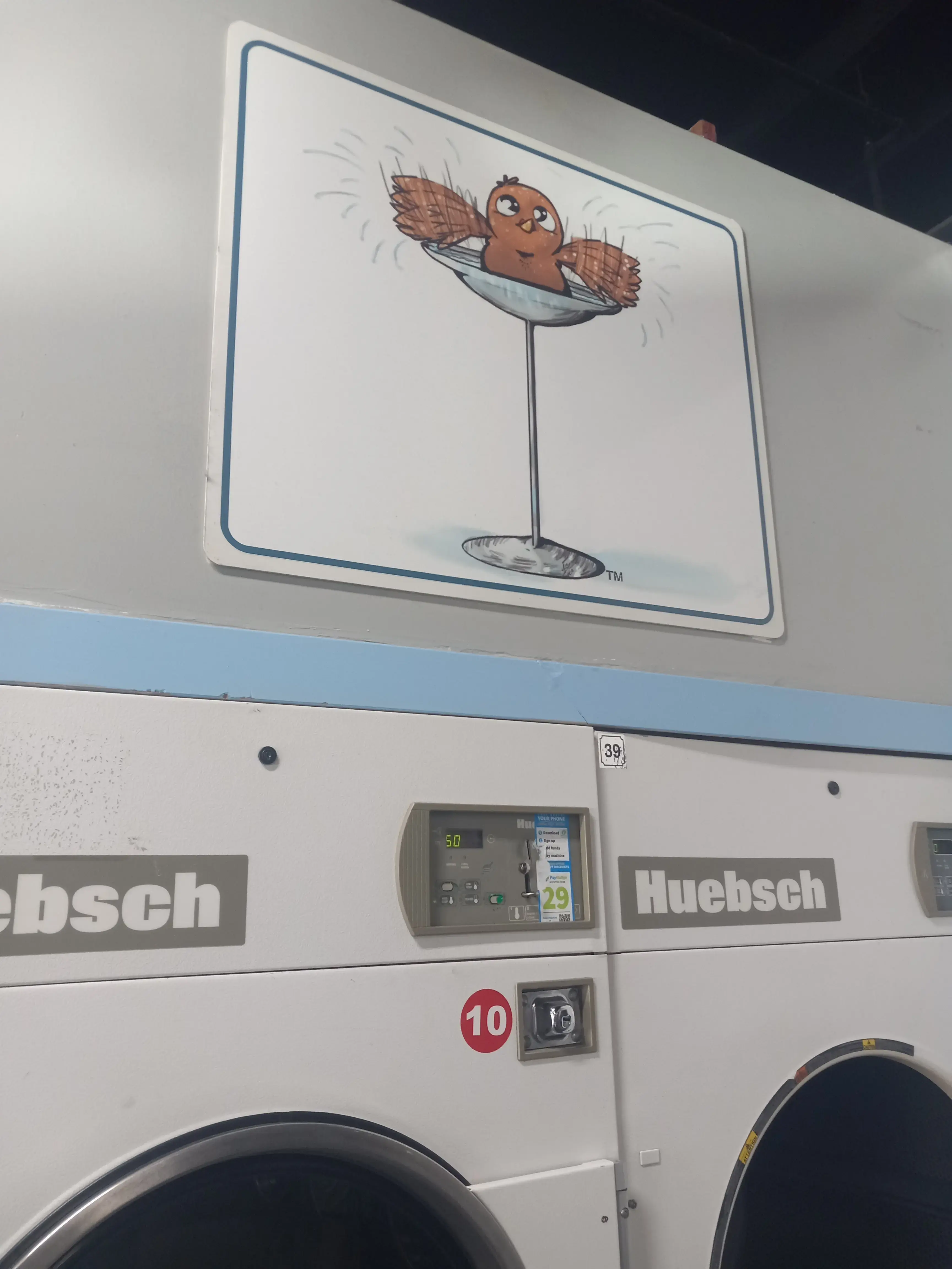 Dirty Bird Laundry - Image 9