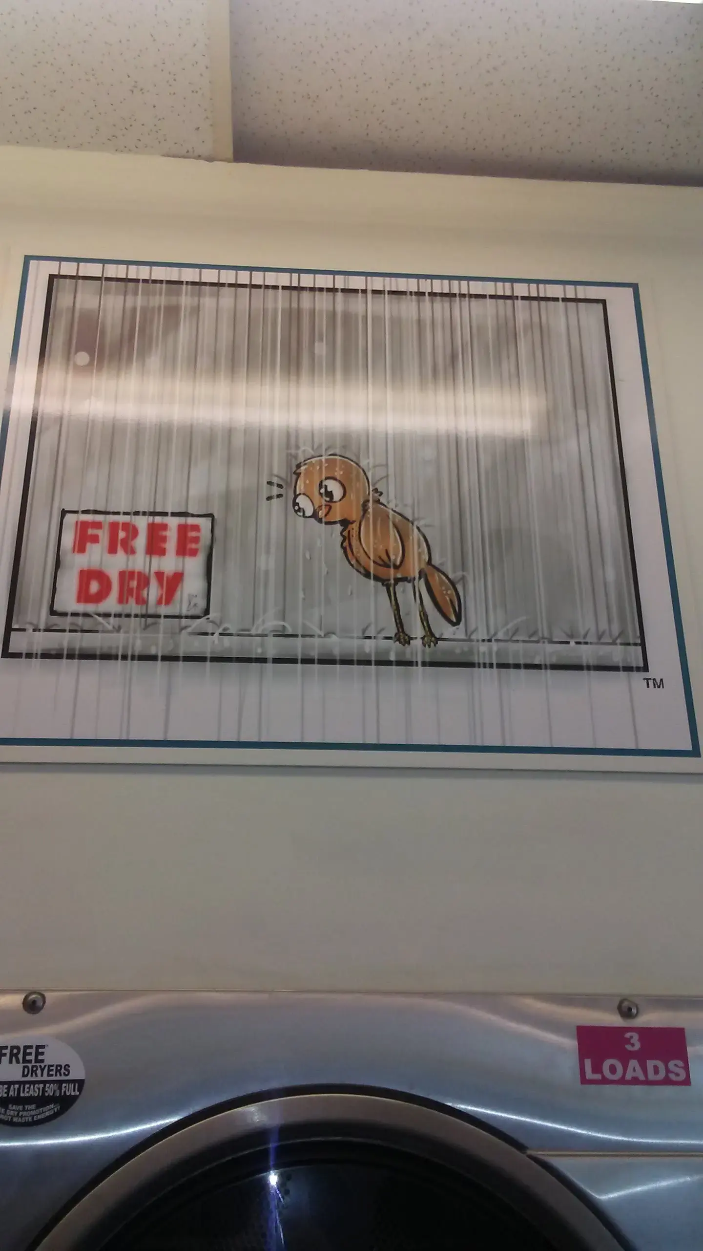 Dirty Bird Laundry - Image 1