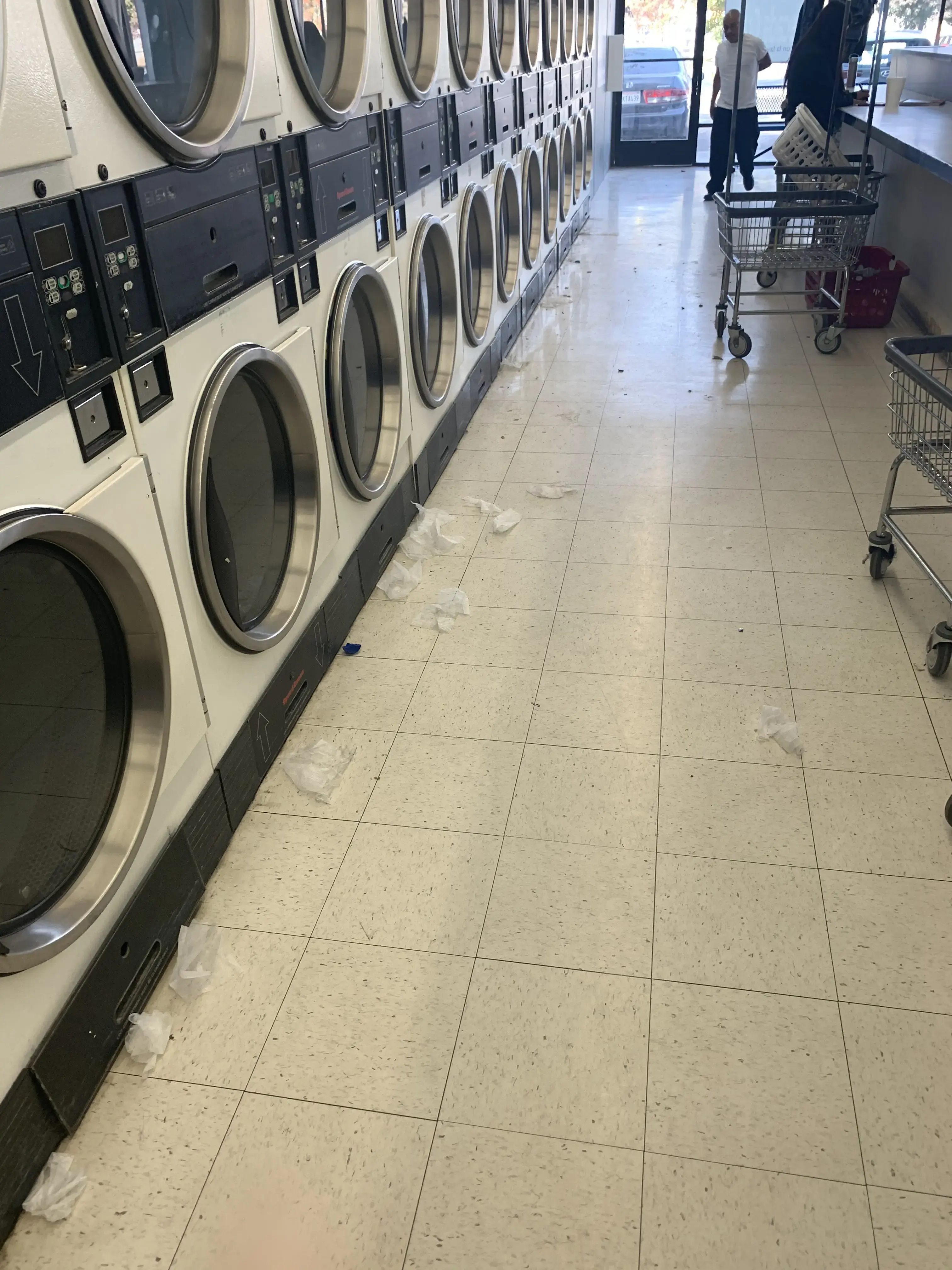 Dirty Bird Laundry - Image 13