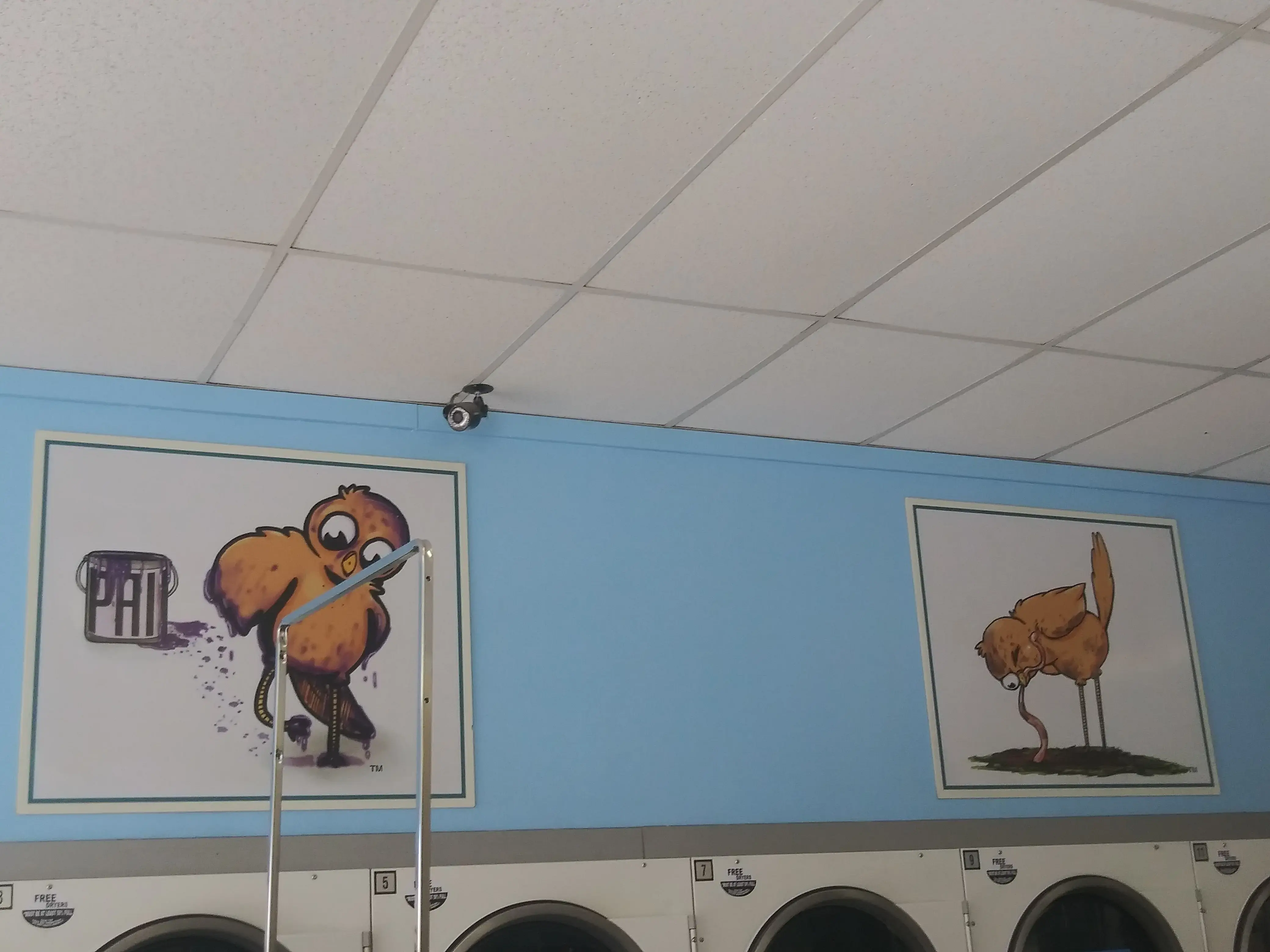 Dirty Bird Laundry thumbnail 9