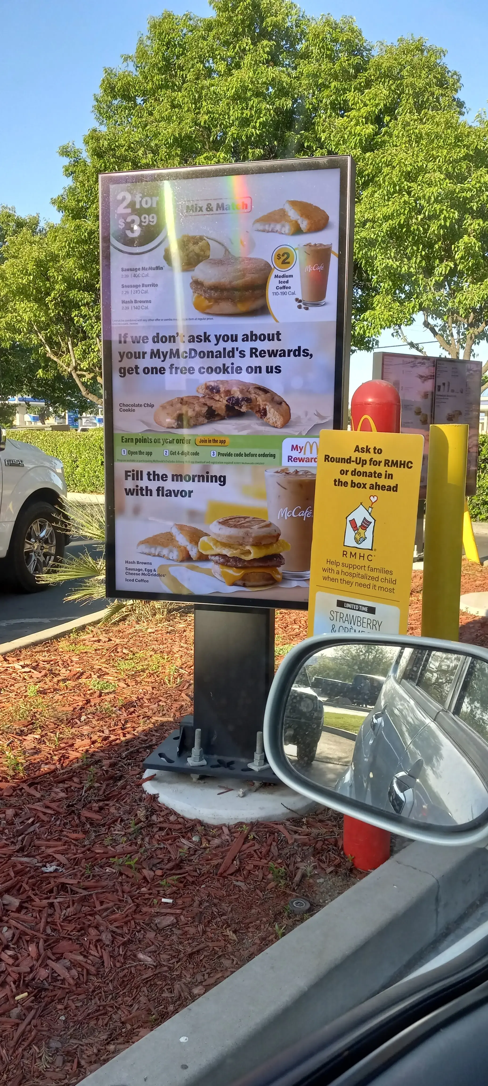 Dirty Bird Laundry - Image 4