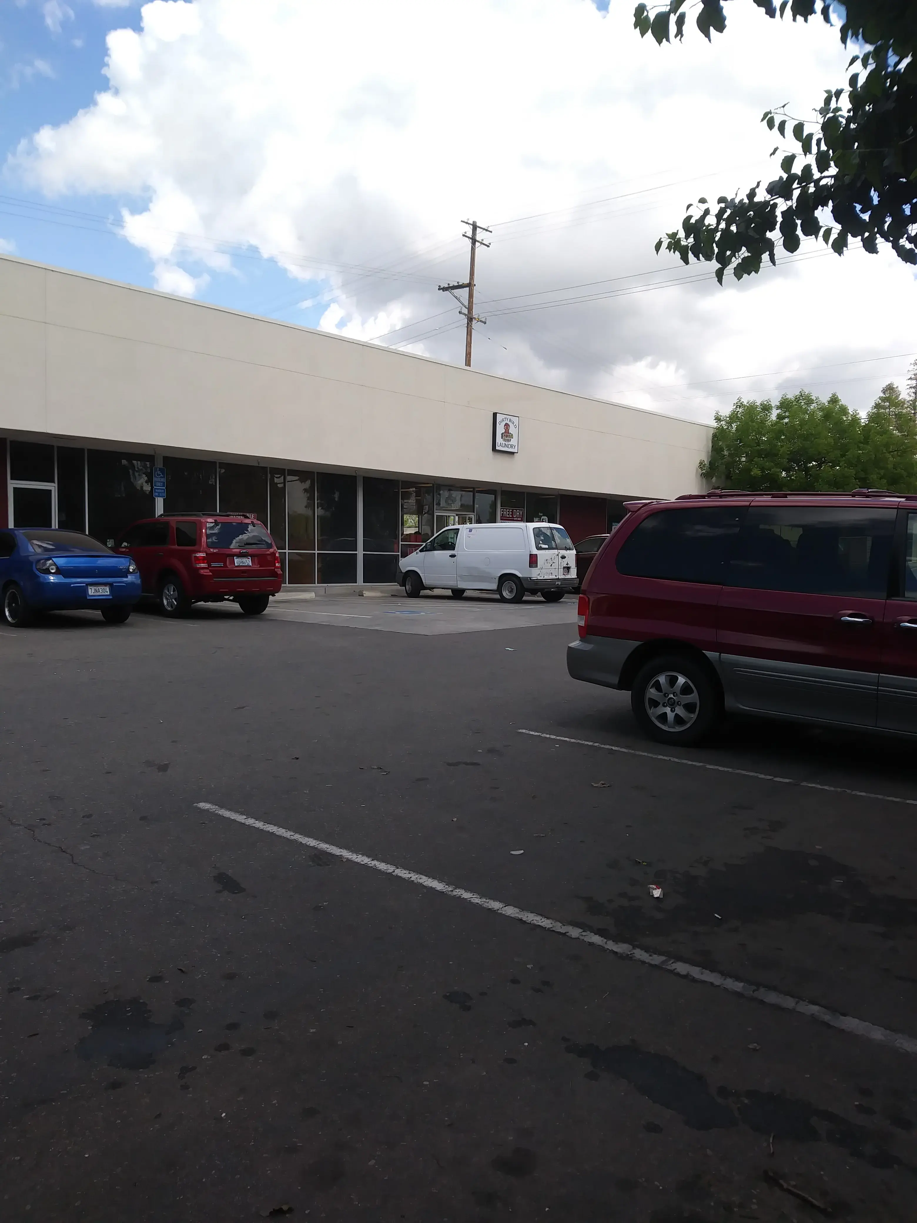 Dirty Bird Laundry - Image 4