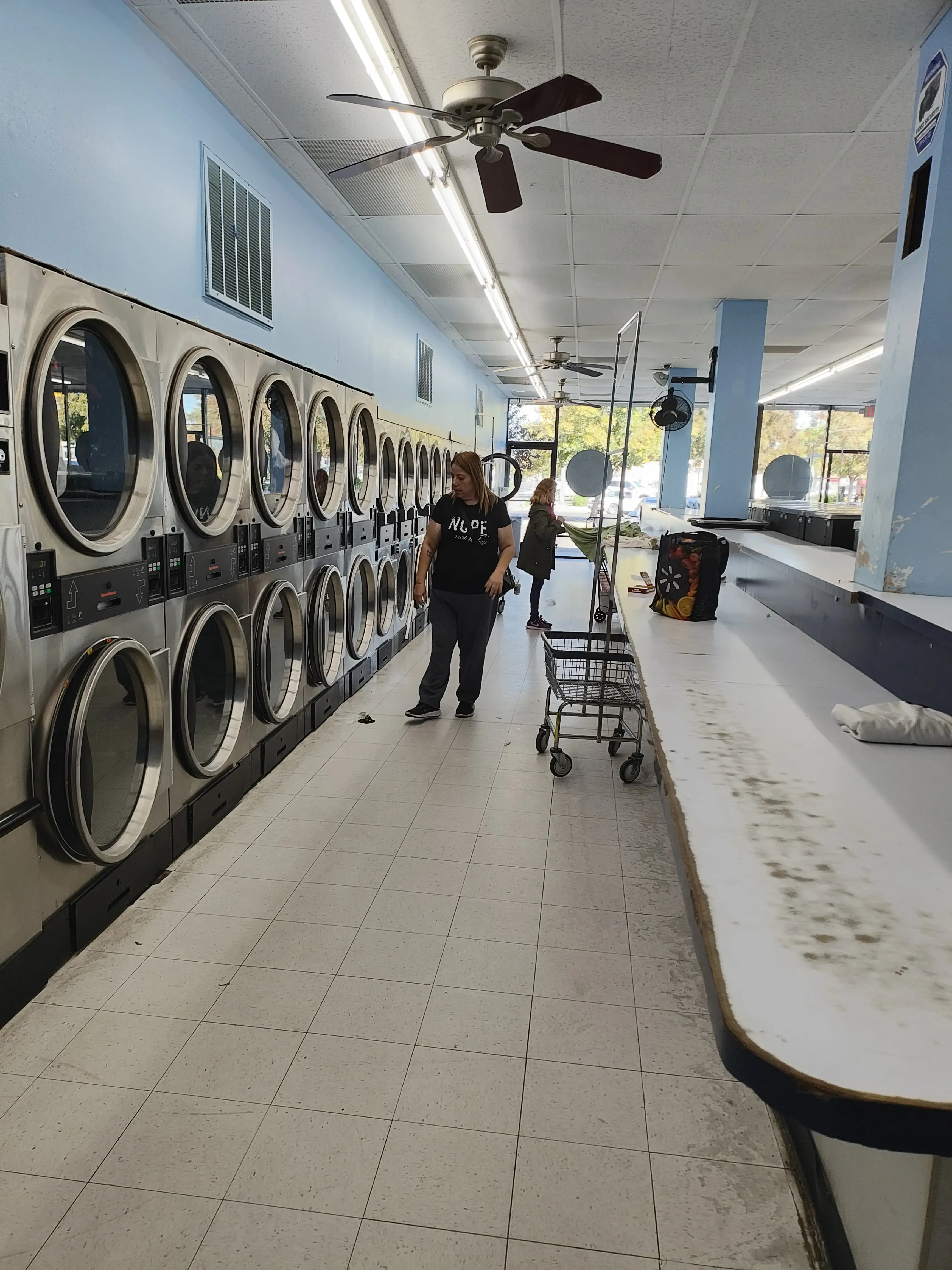 Dirty Bird Laundry thumbnail 8