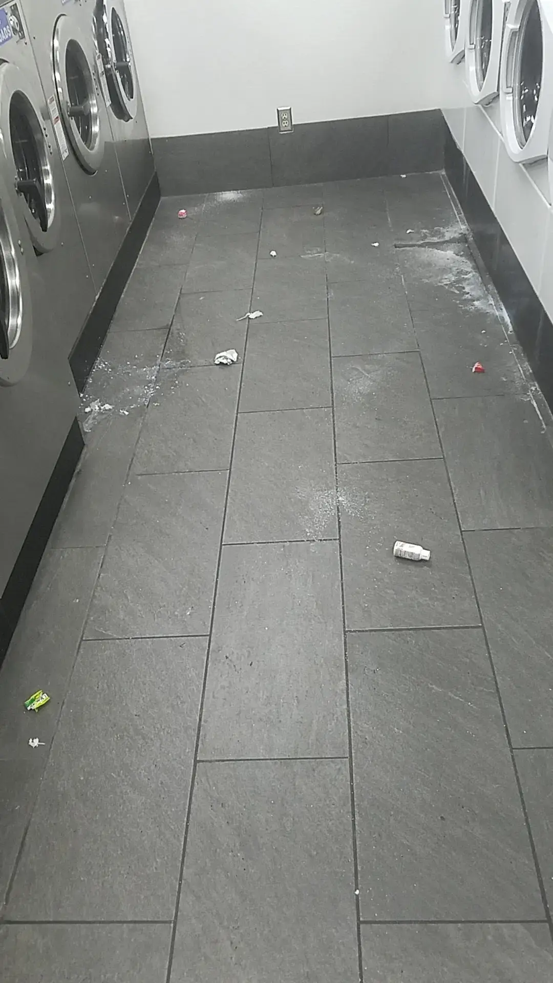 Dirty Bird Laundry - Image 16