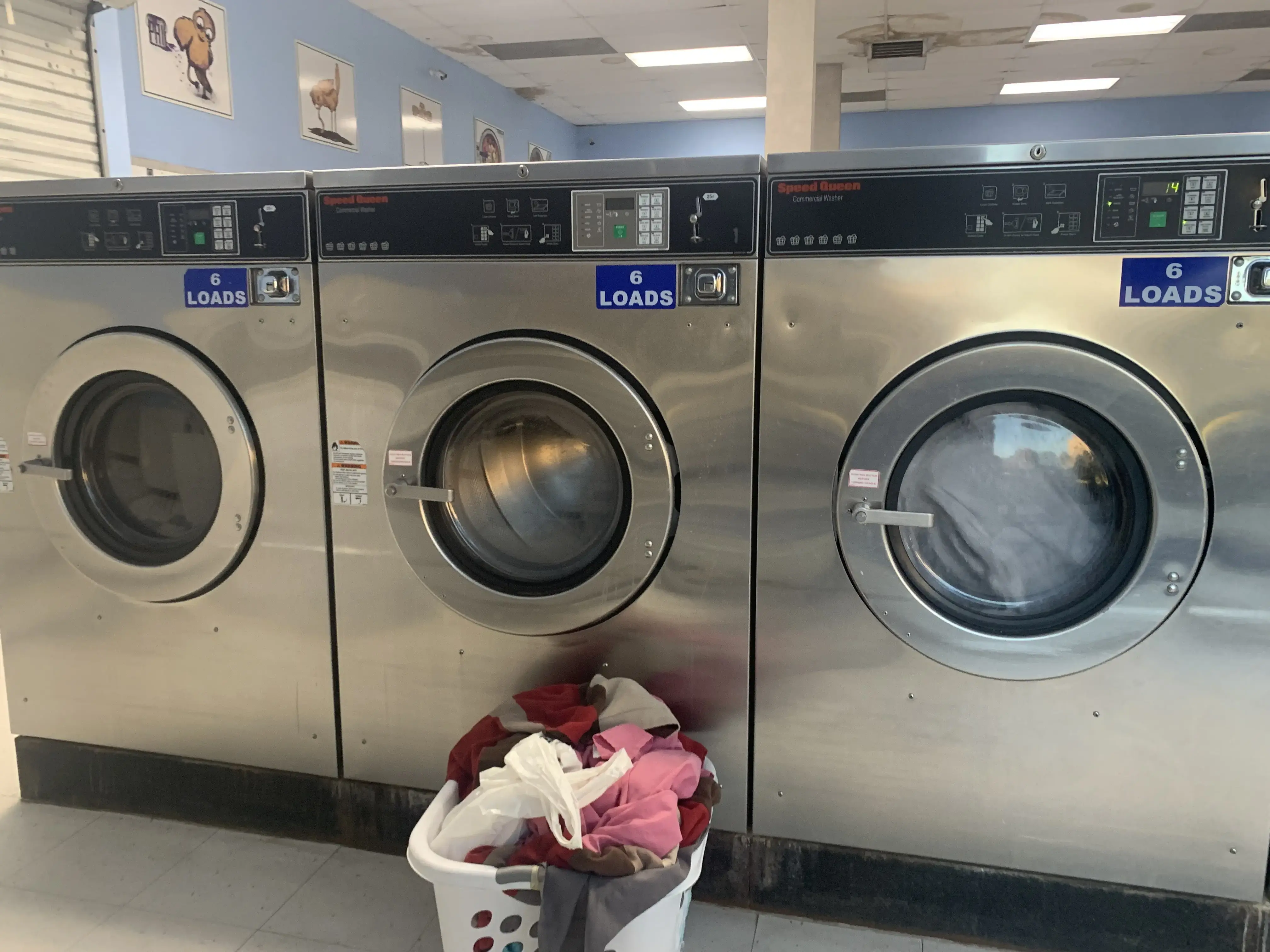 Dirty Bird Laundry thumbnail 4