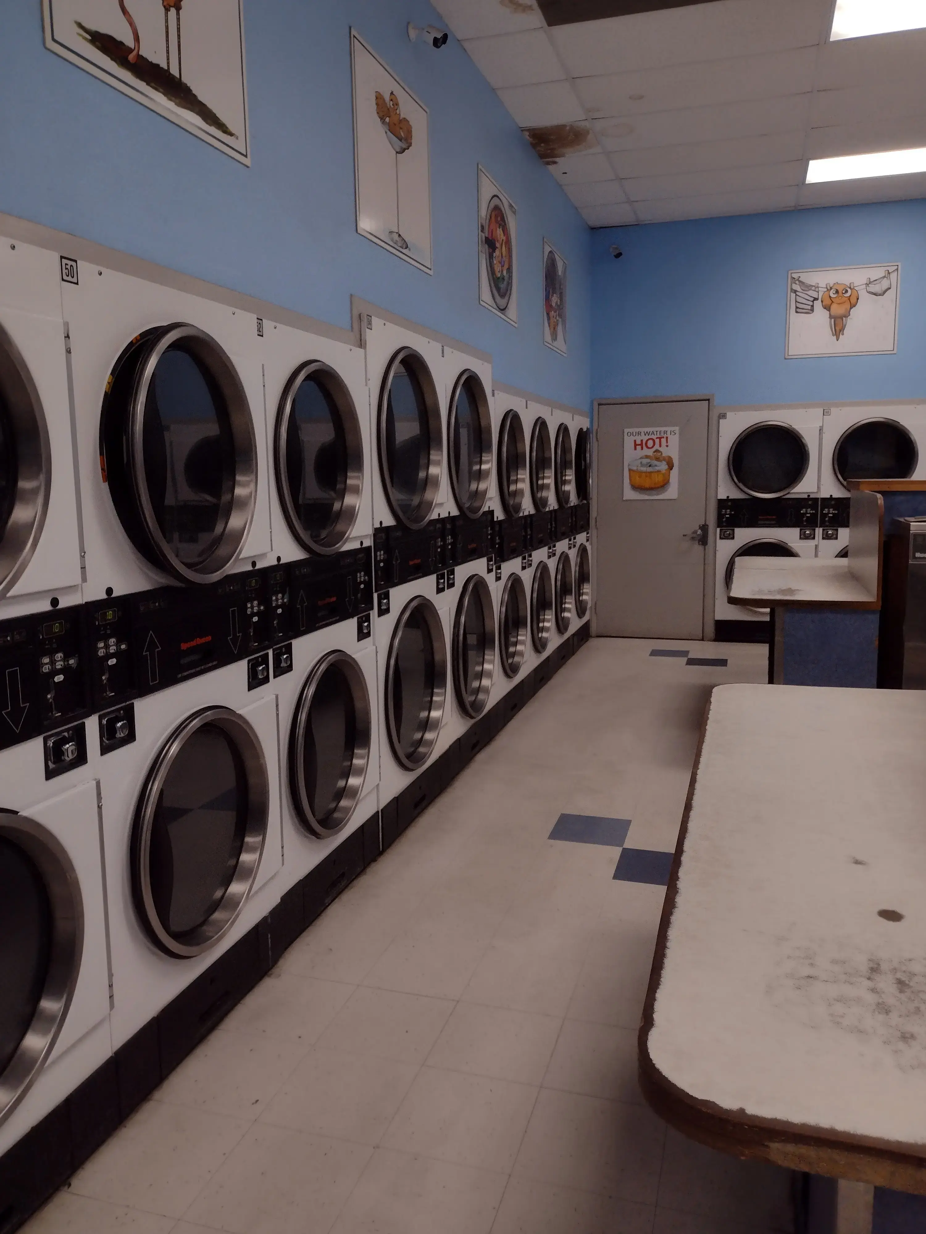 Dirty Bird Laundry thumbnail 14