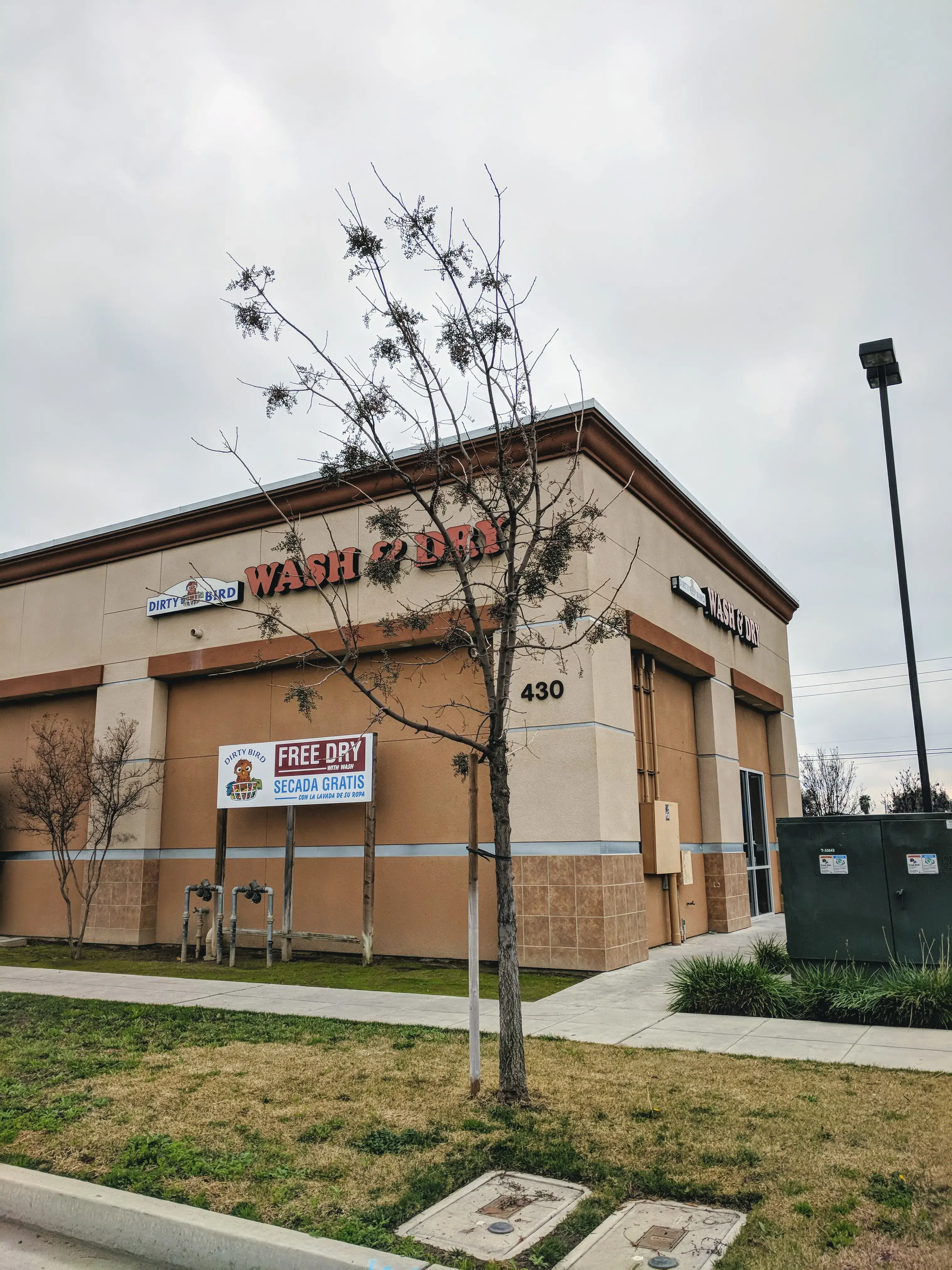 Dirty Bird Laundry - Image 6