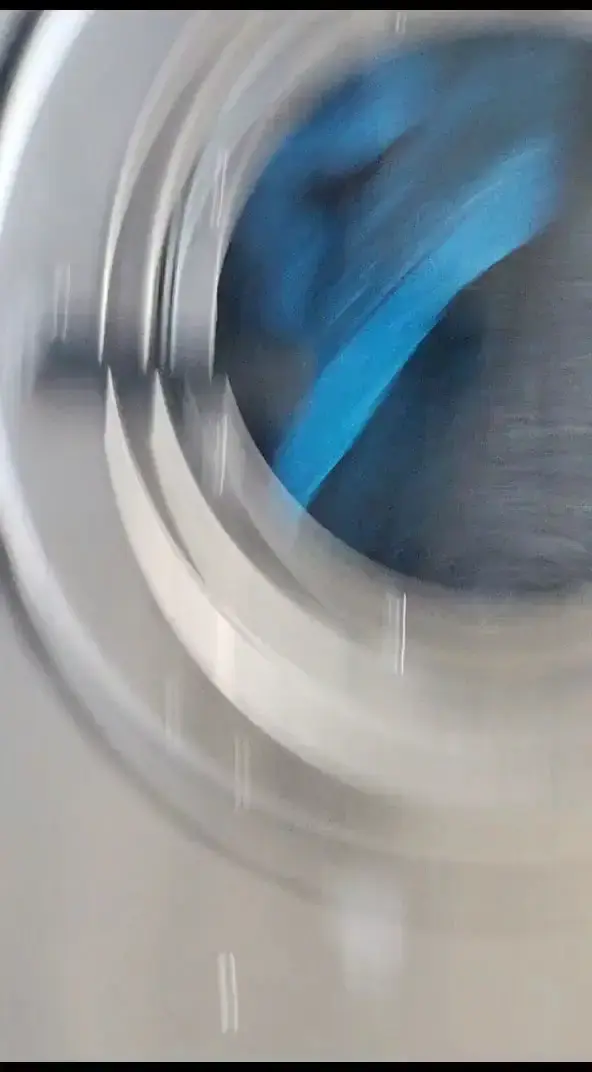 Dirty Bird Laundry - Image 5