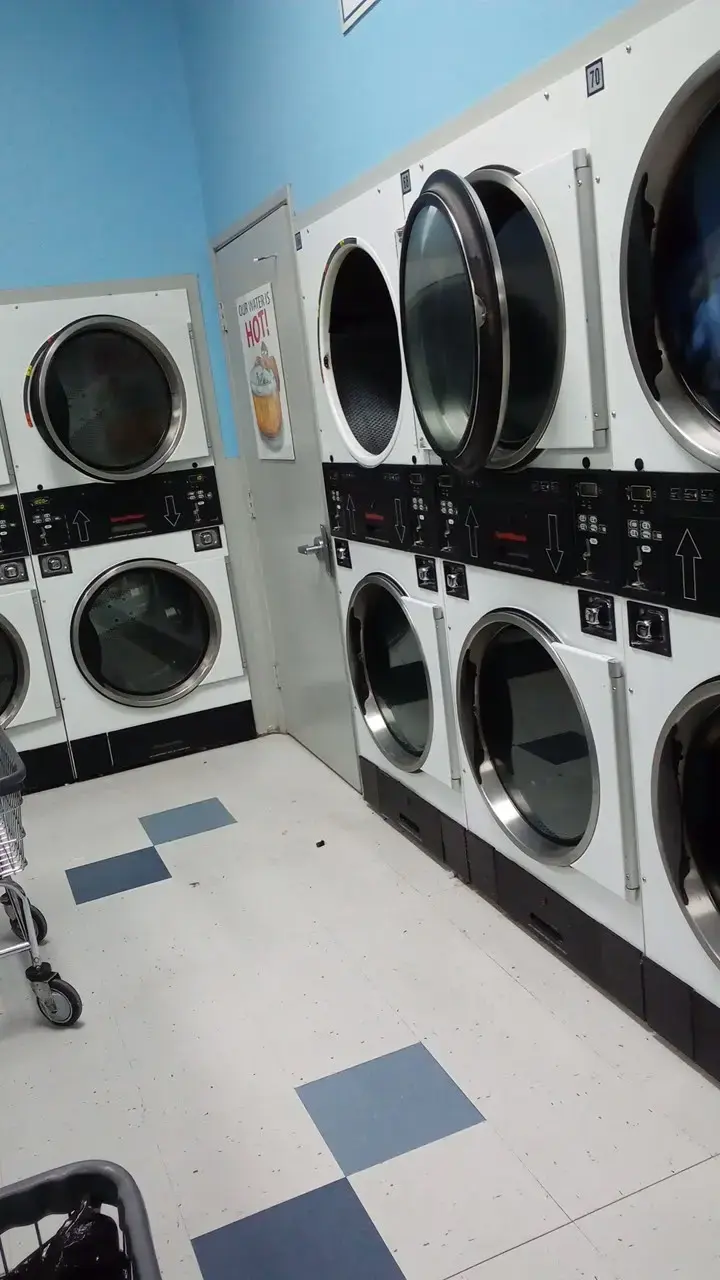 Dirty Bird Laundry thumbnail 19