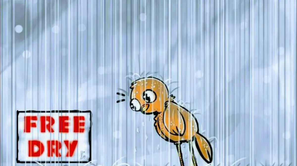 Dirty Bird Laundry - Image 11