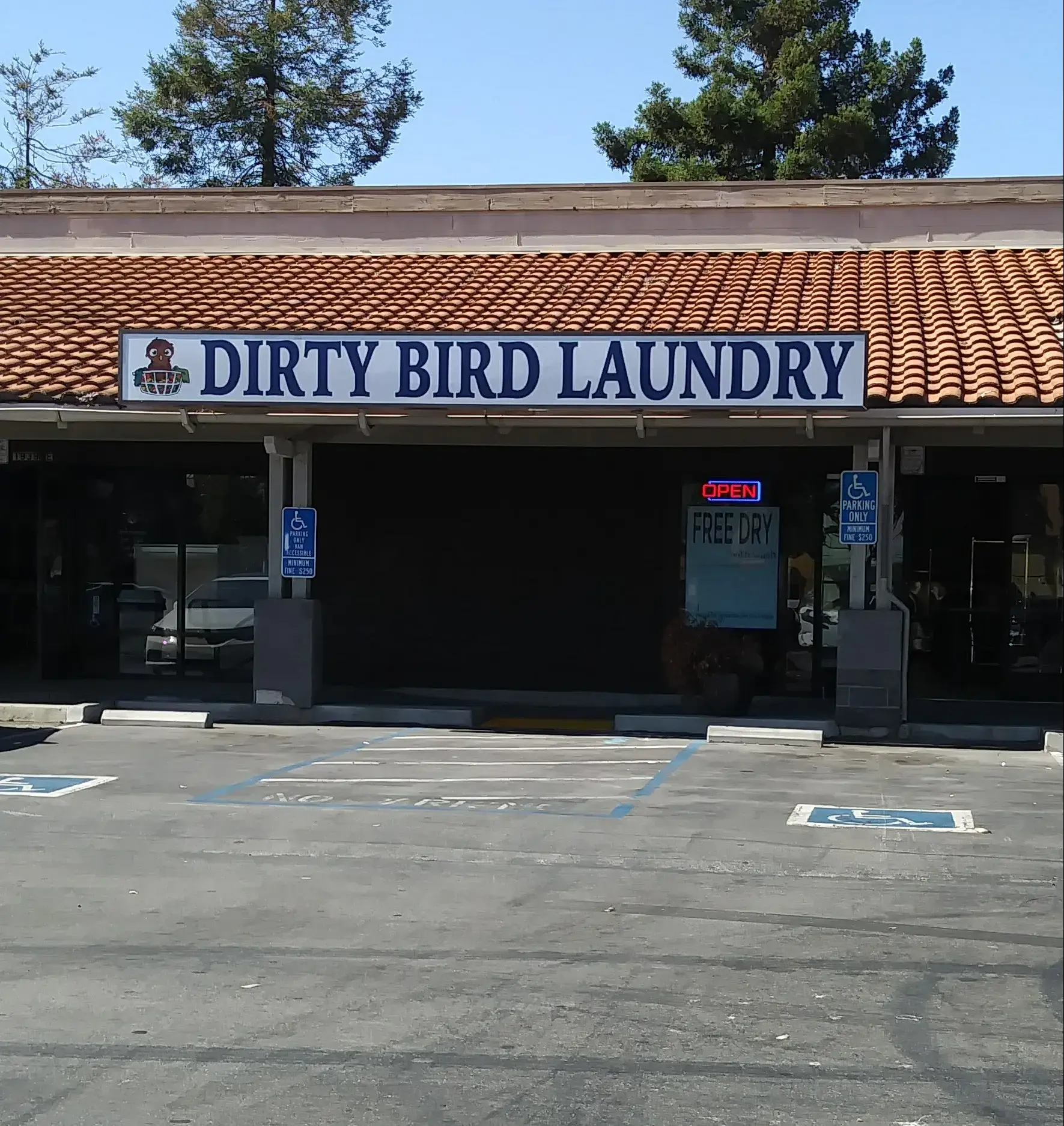Dirty Bird Laundry - Image 13