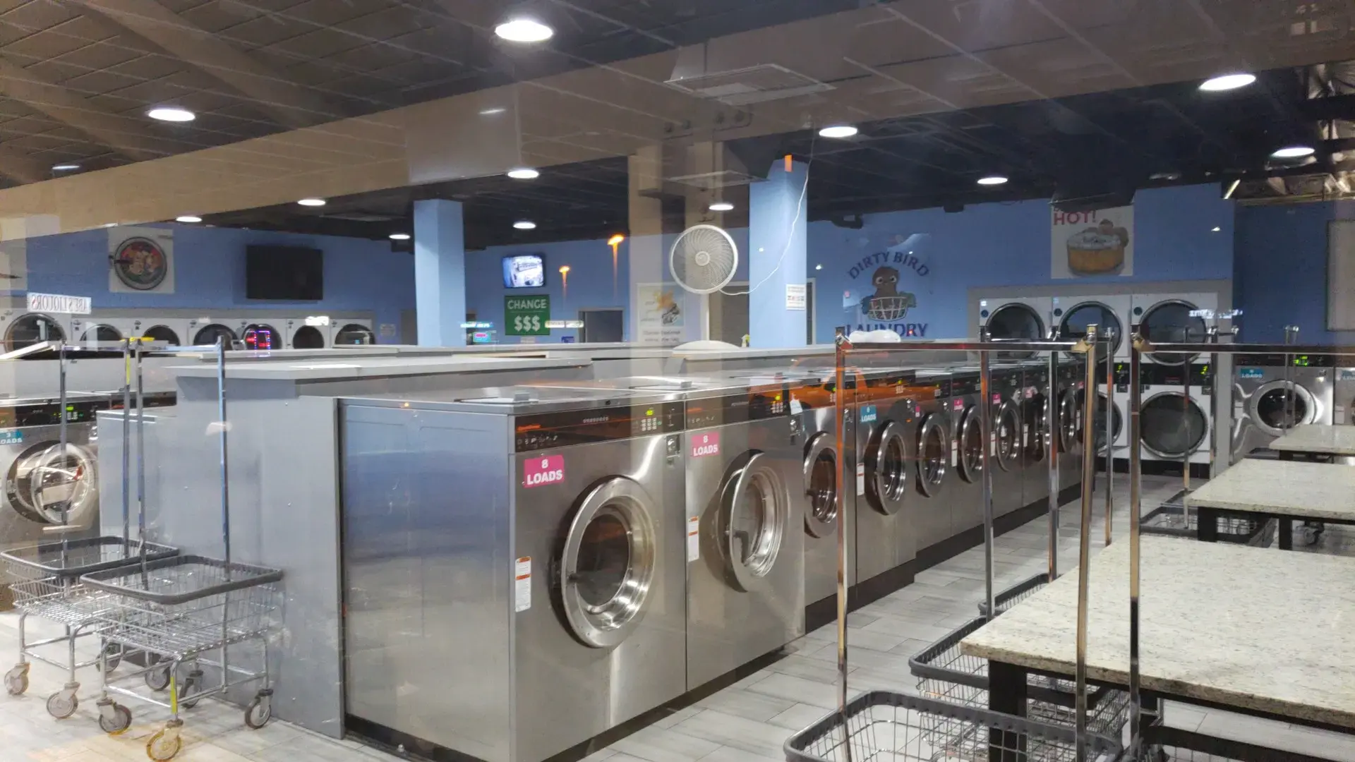 Dirty Bird Laundry - Image 14