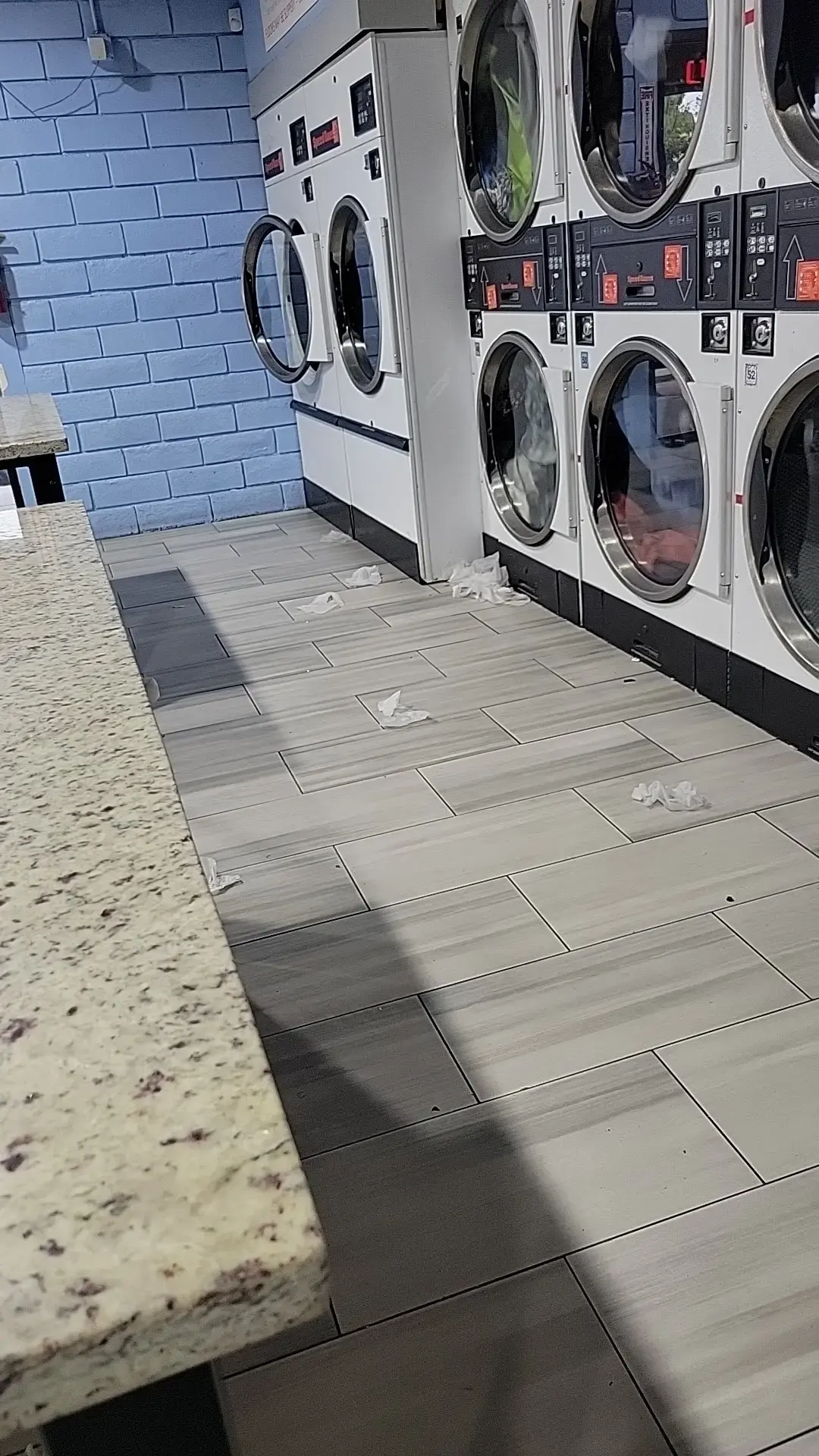 Dirty Bird Laundry thumbnail 10