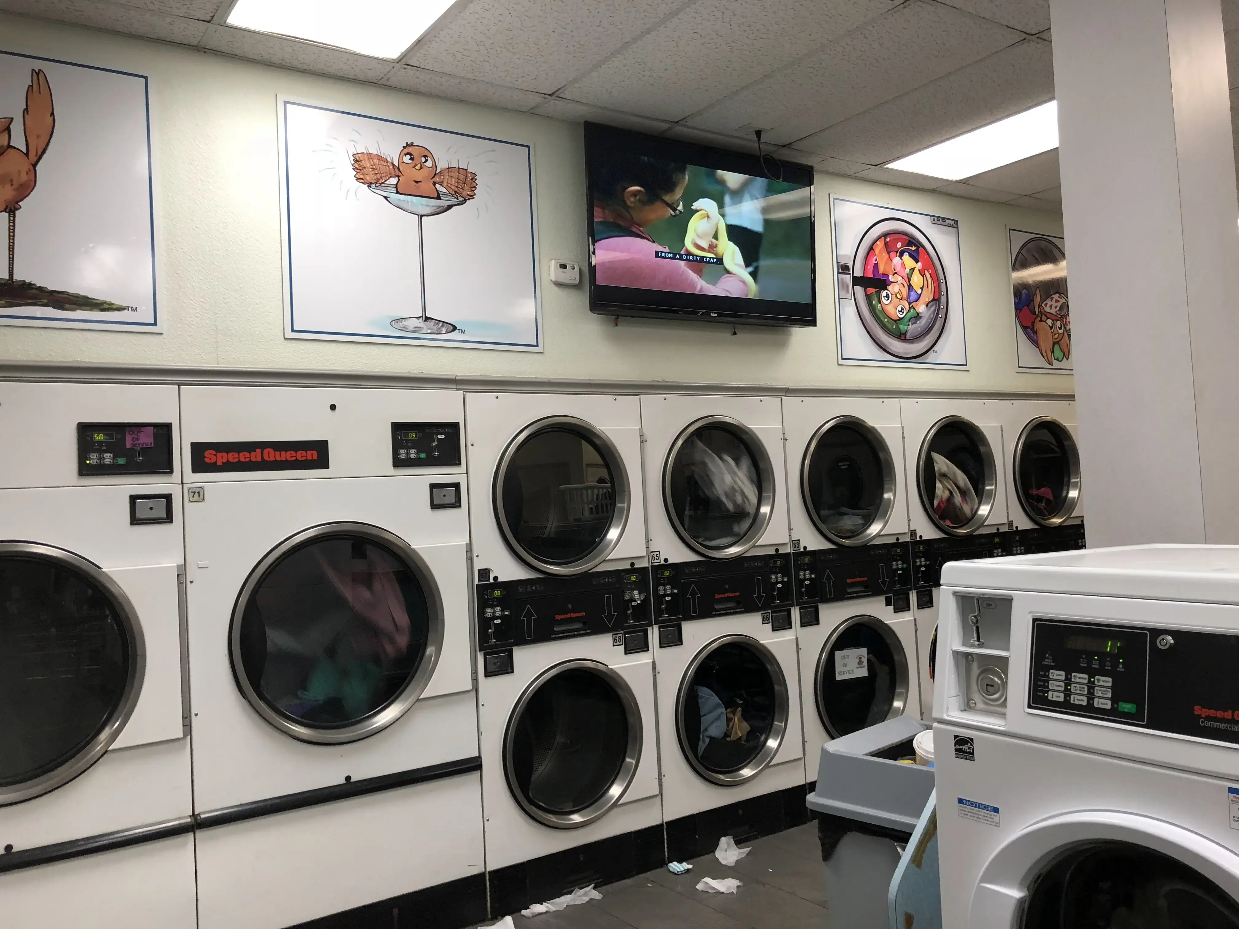 Dirty Bird Laundry - Image 20
