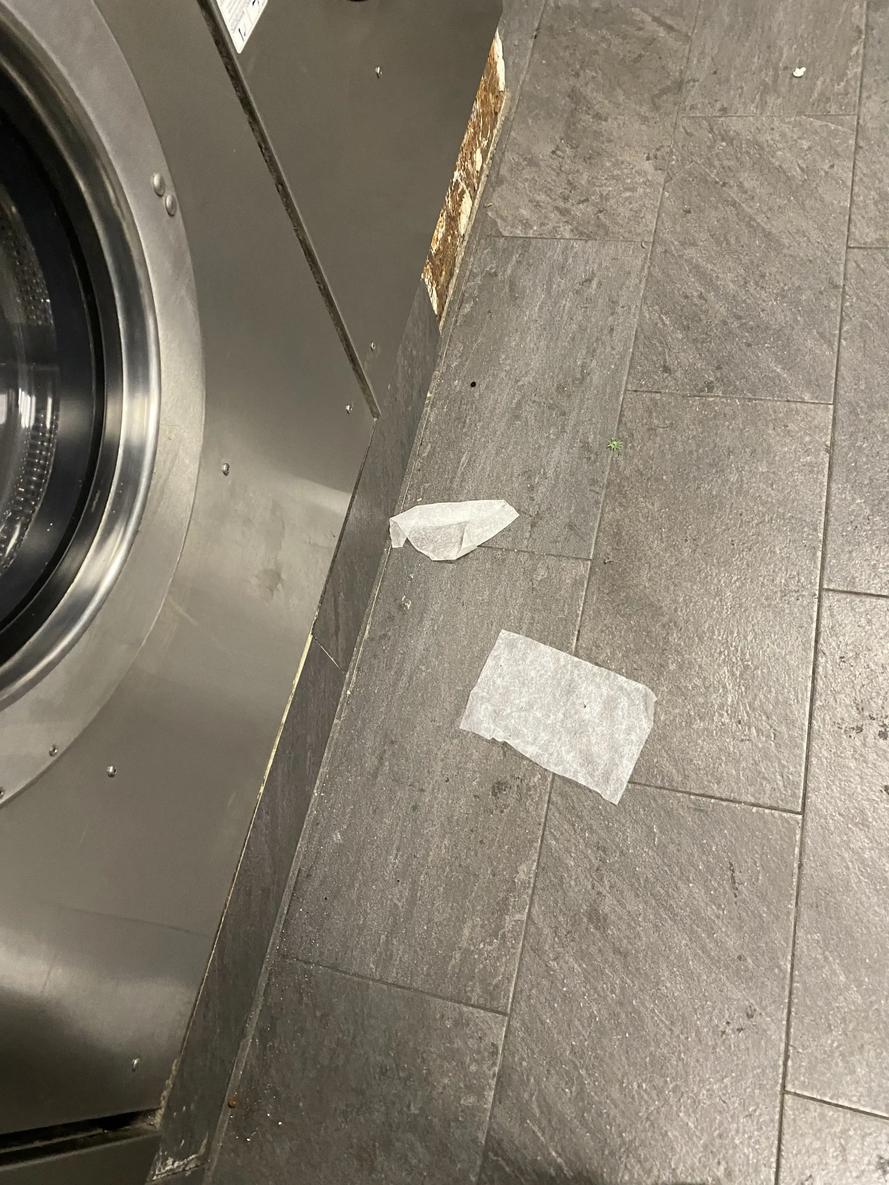 Dirty Bird Laundry thumbnail 8