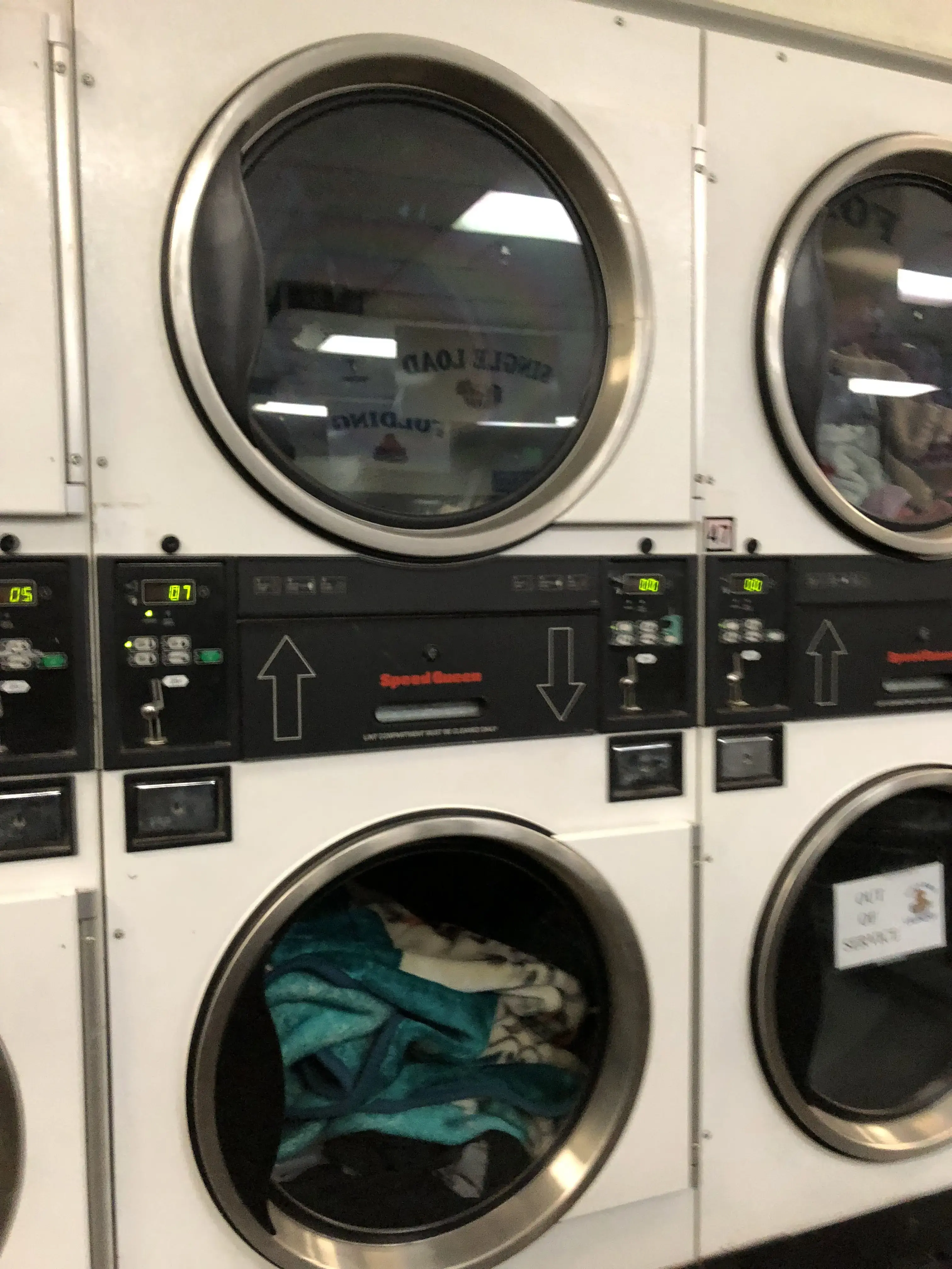 Dirty Bird Laundry thumbnail 17