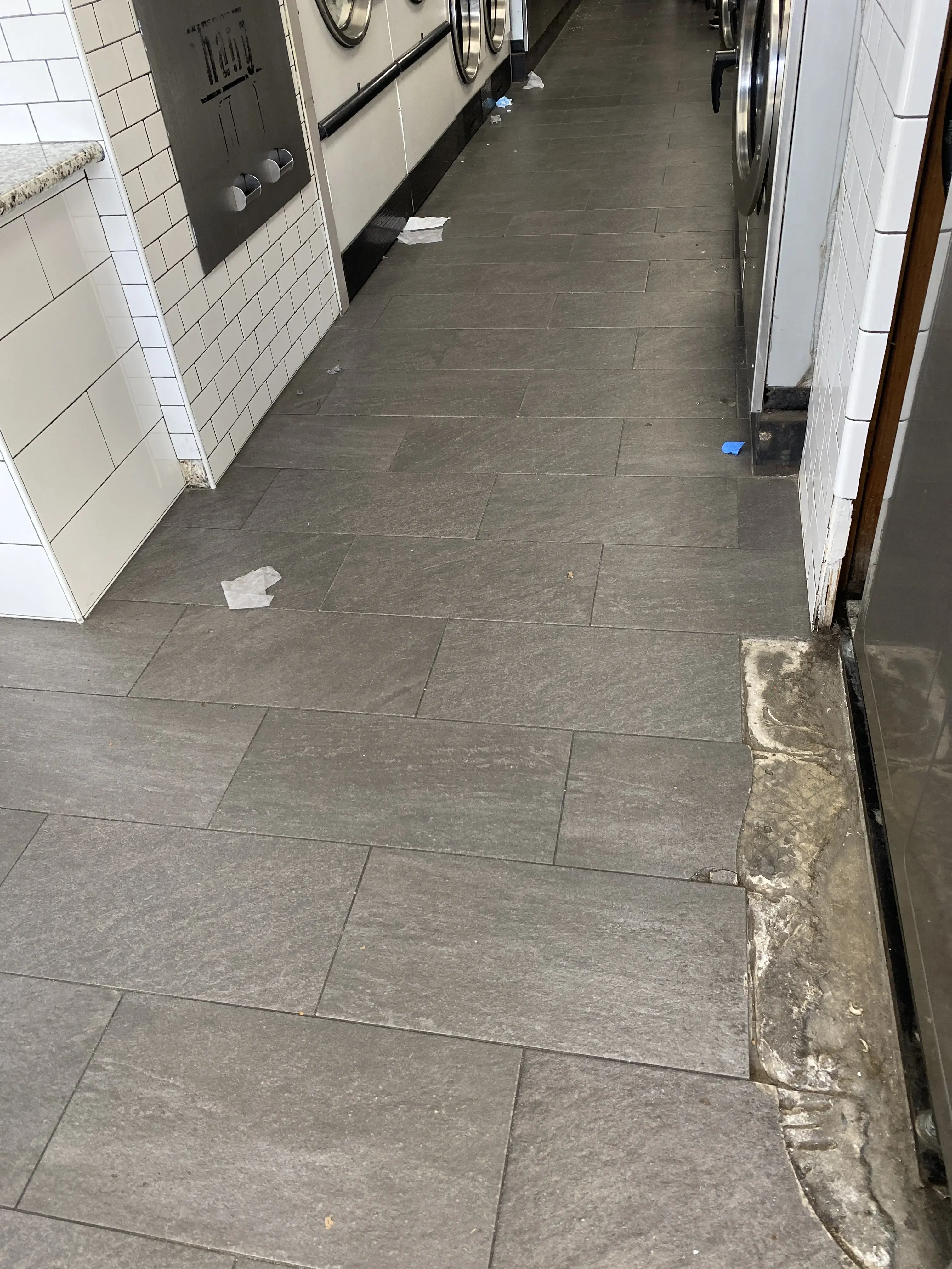 Dirty Bird Laundry thumbnail 3