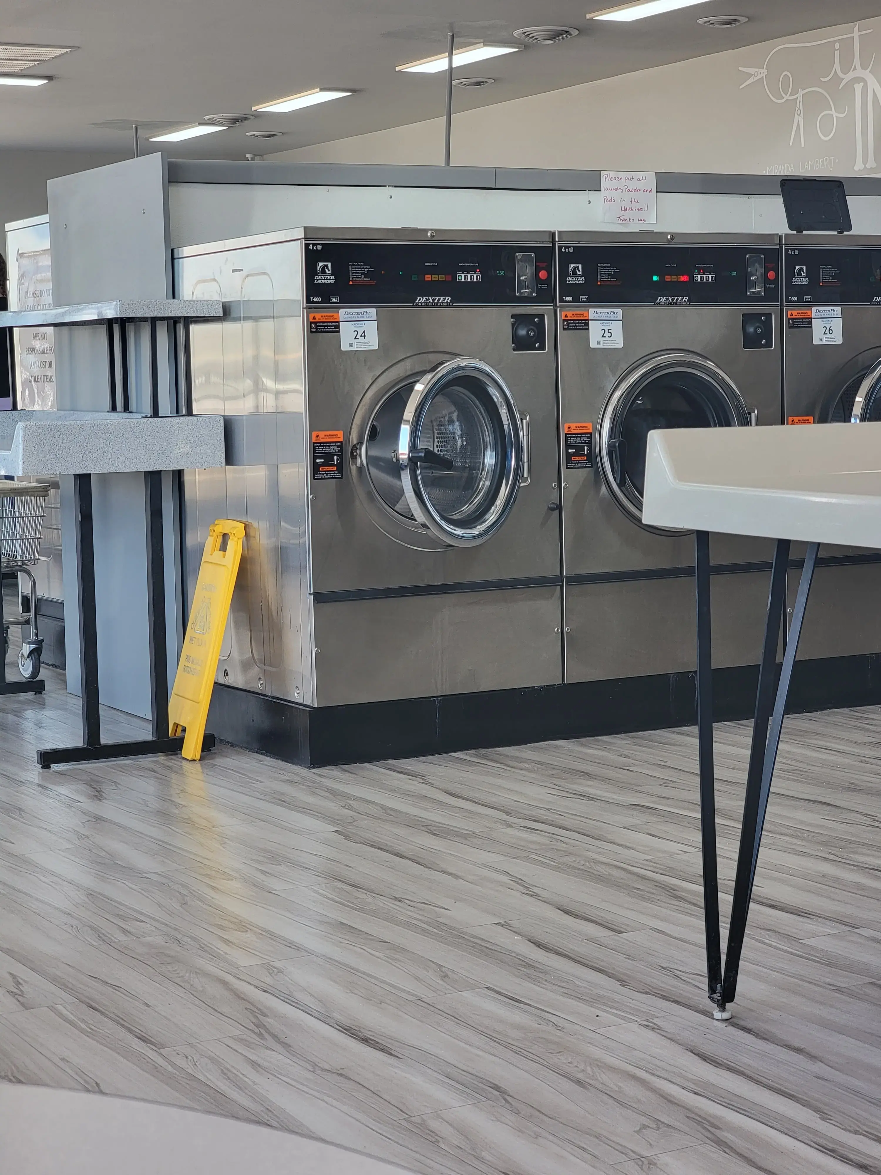 Dirty Duds Laundromat thumbnail 13