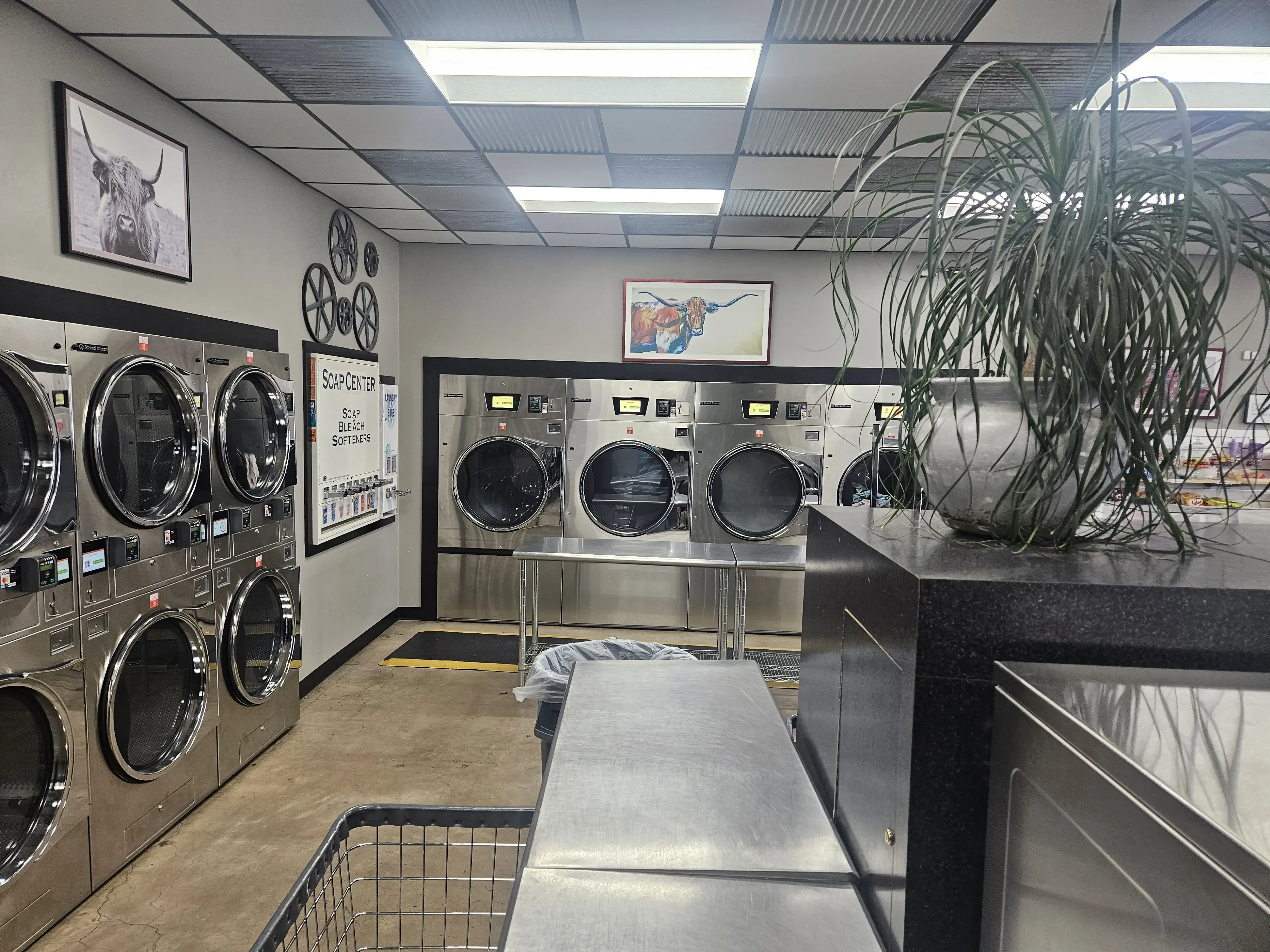 Dirty Duds Wash House - Image 5