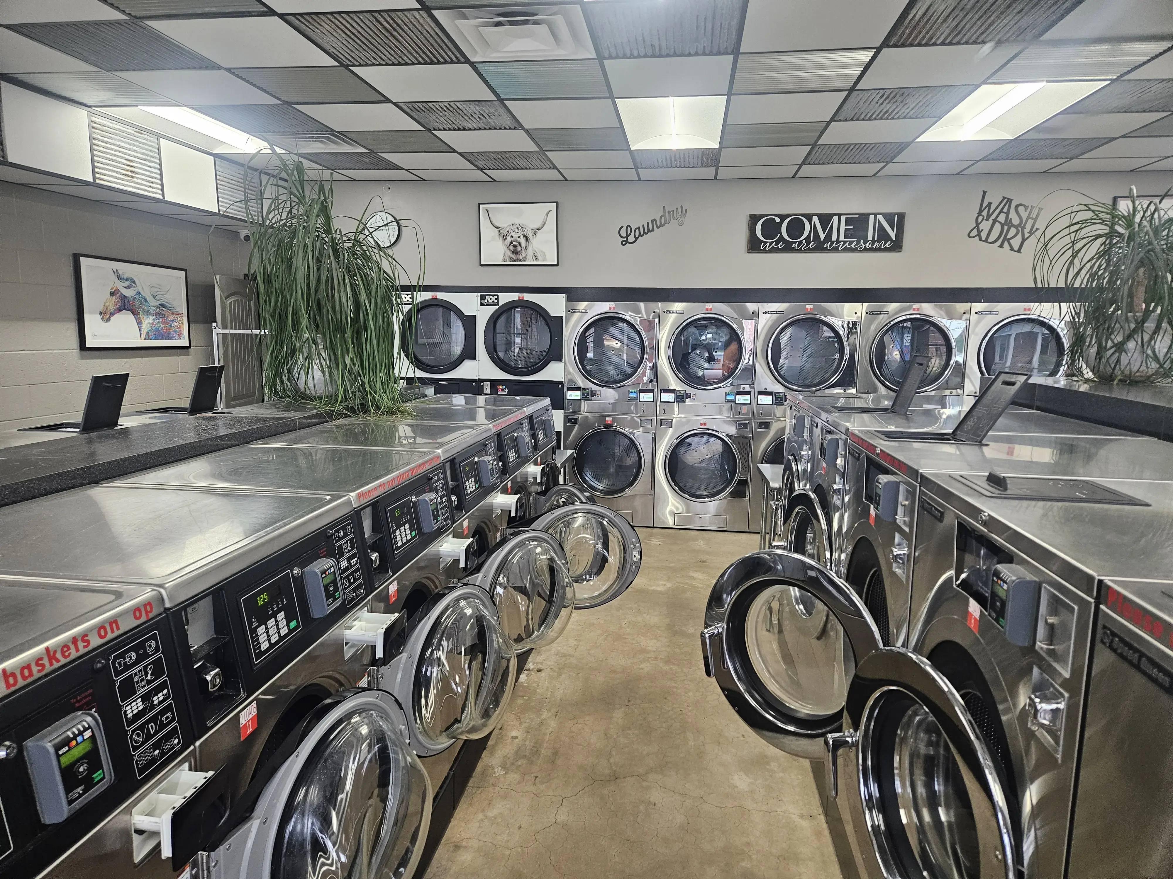 Dirty Duds Wash House - Image 1