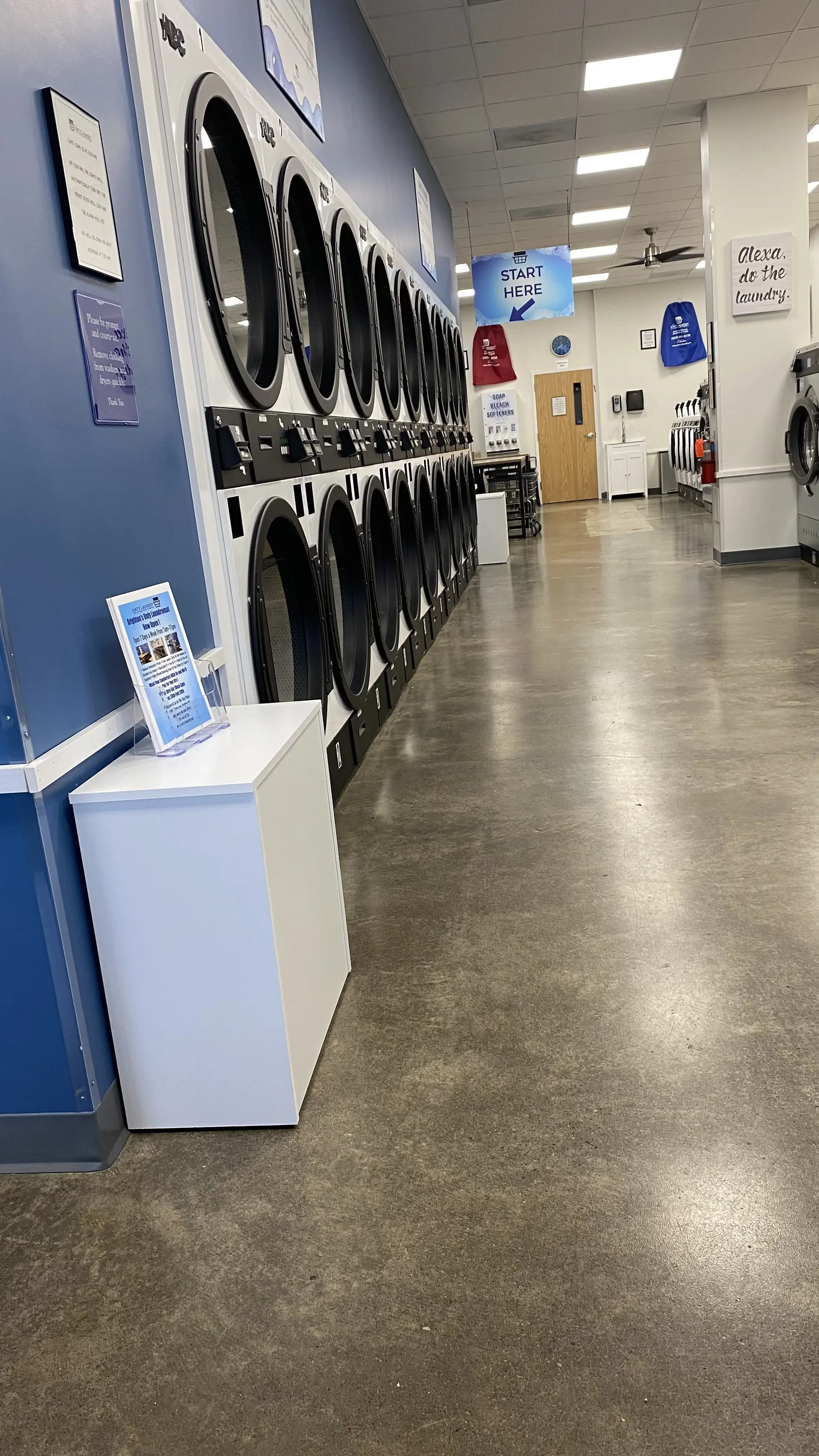 Dirty Laundry - Brighton NY thumbnail 10
