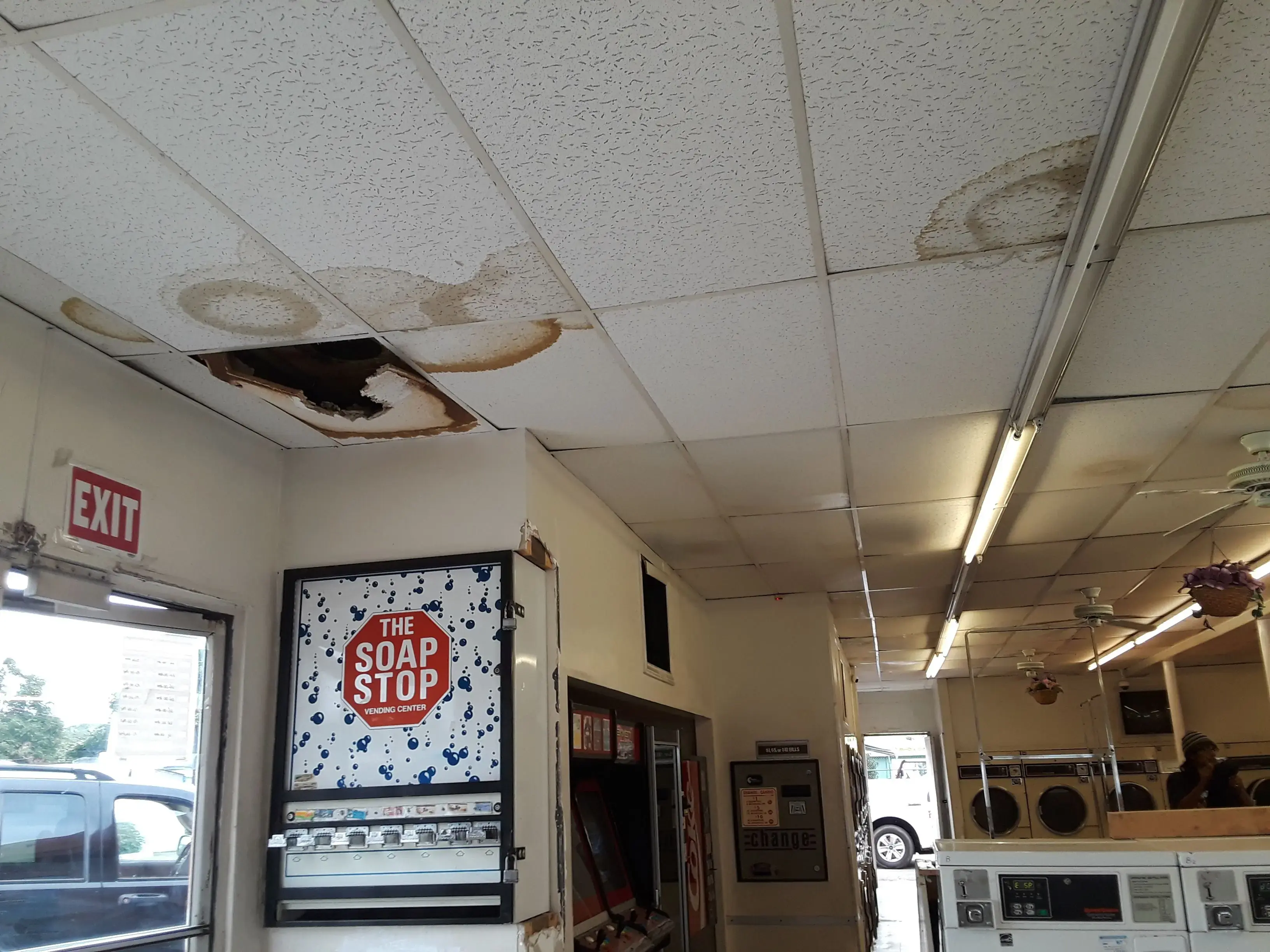 DNS FRESH N CLEAN thumbnail 9