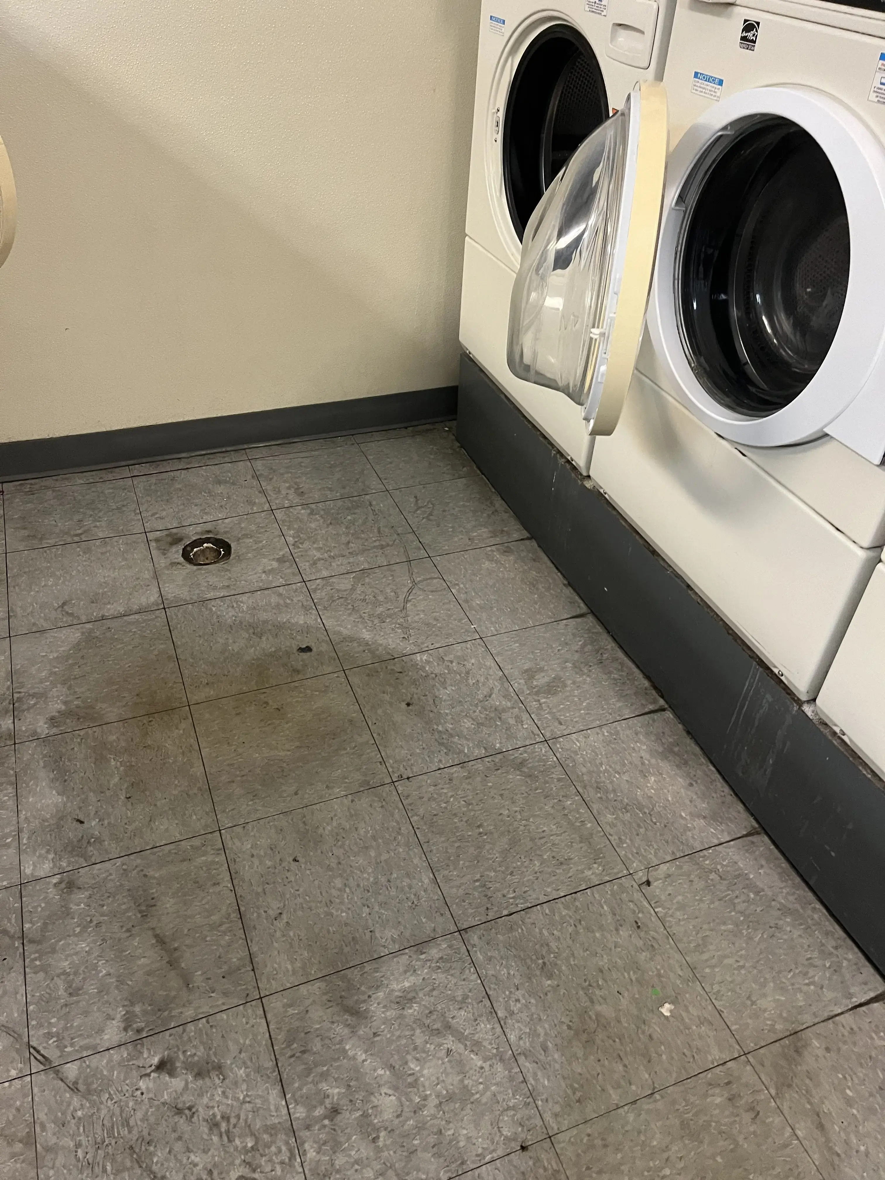 Dolly's Laundromat - Image 5