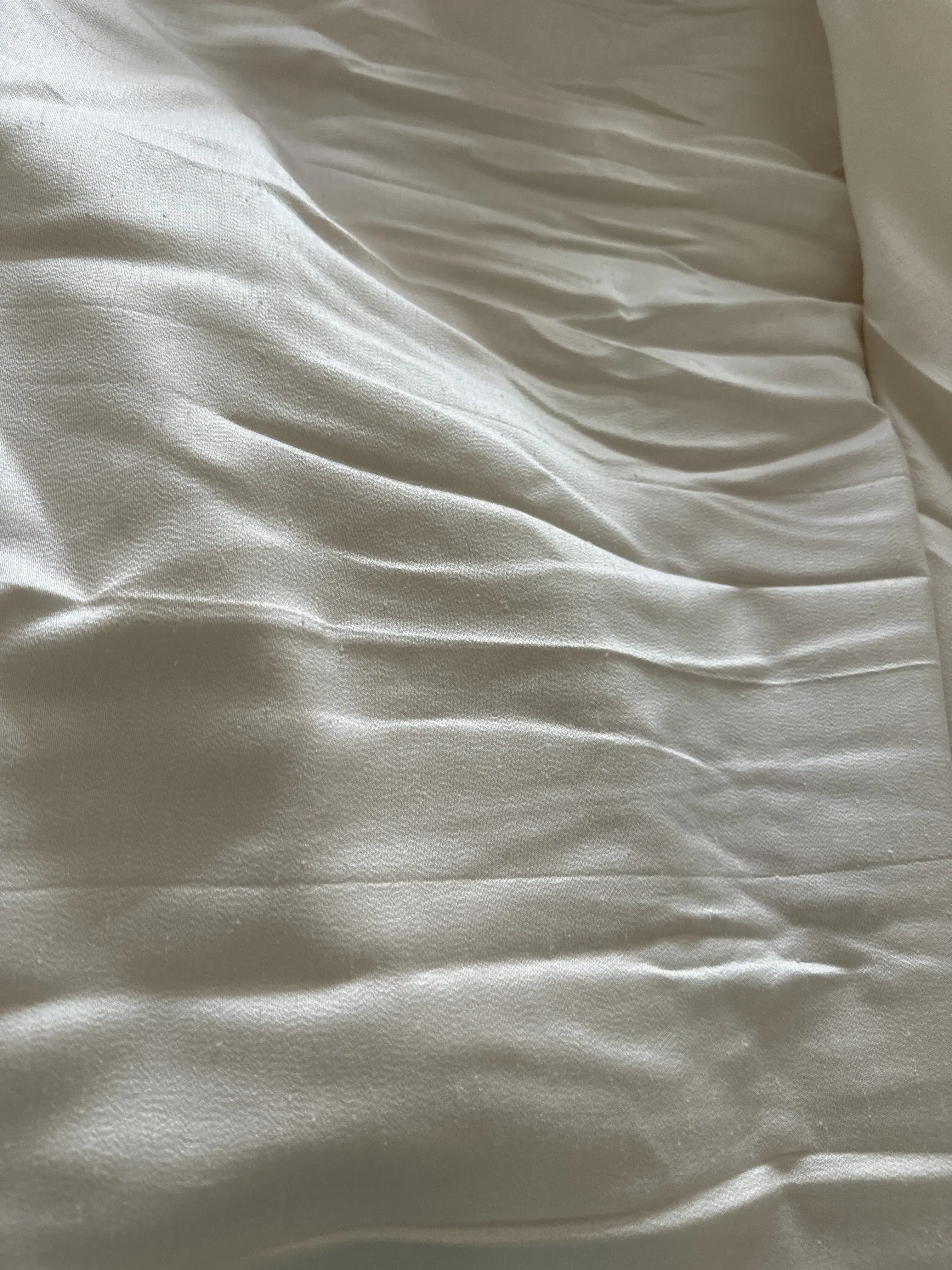 Dolphin Cleaners - Image 6