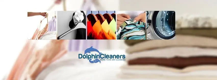 Dolphin Cleaners - Image 1