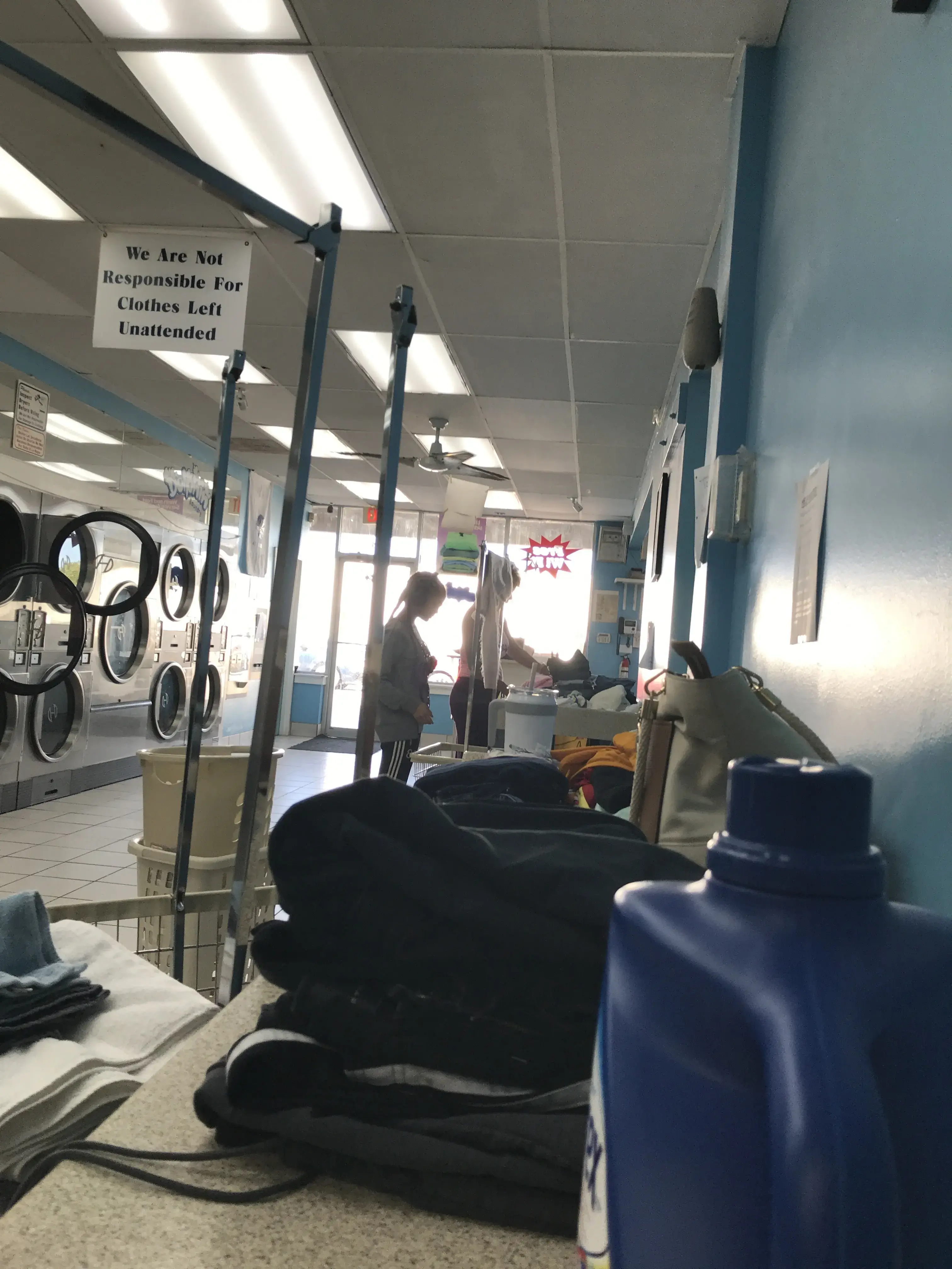 Dolphin Laundry thumbnail 5