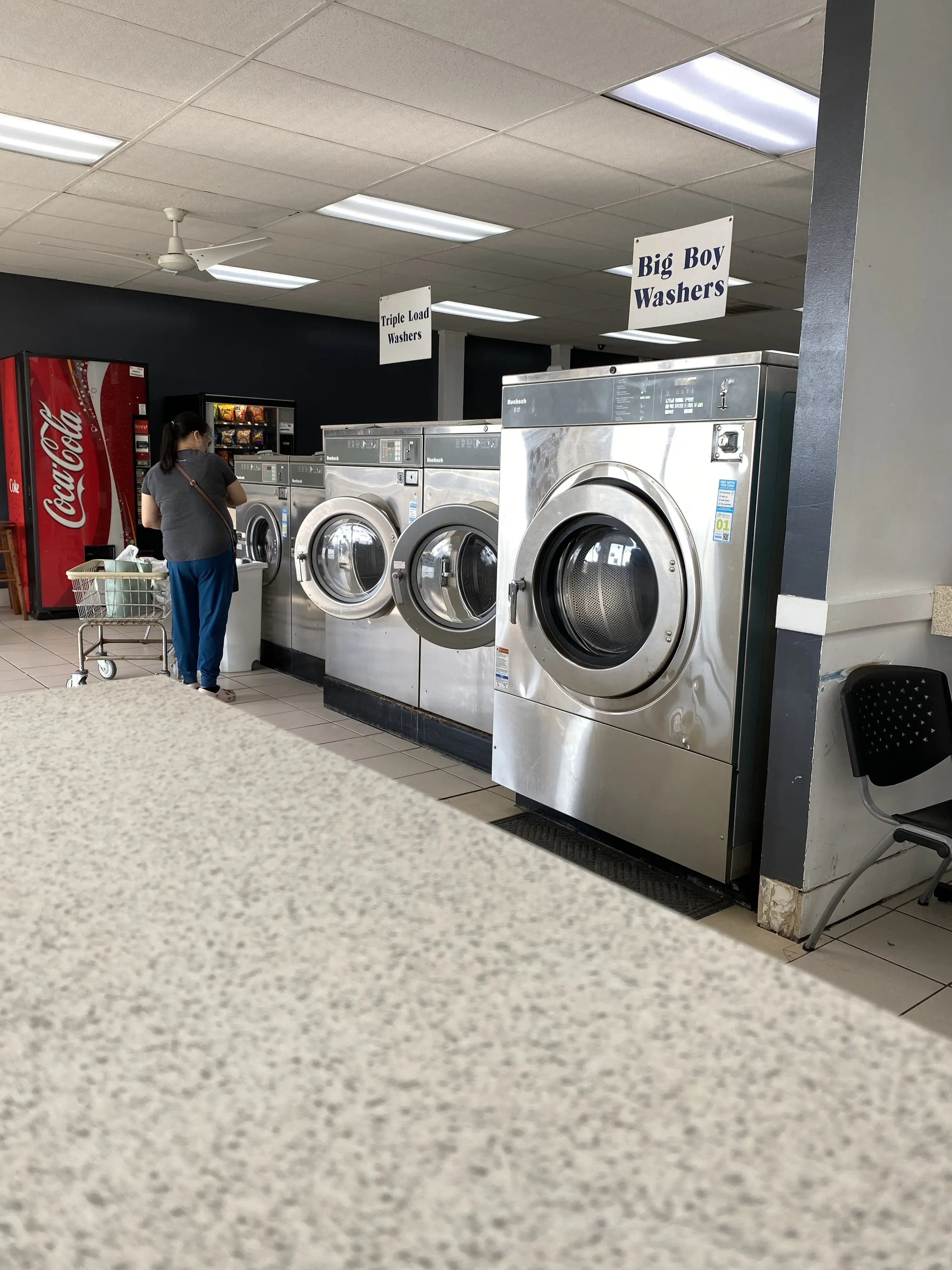 Dolphin Laundry thumbnail 3