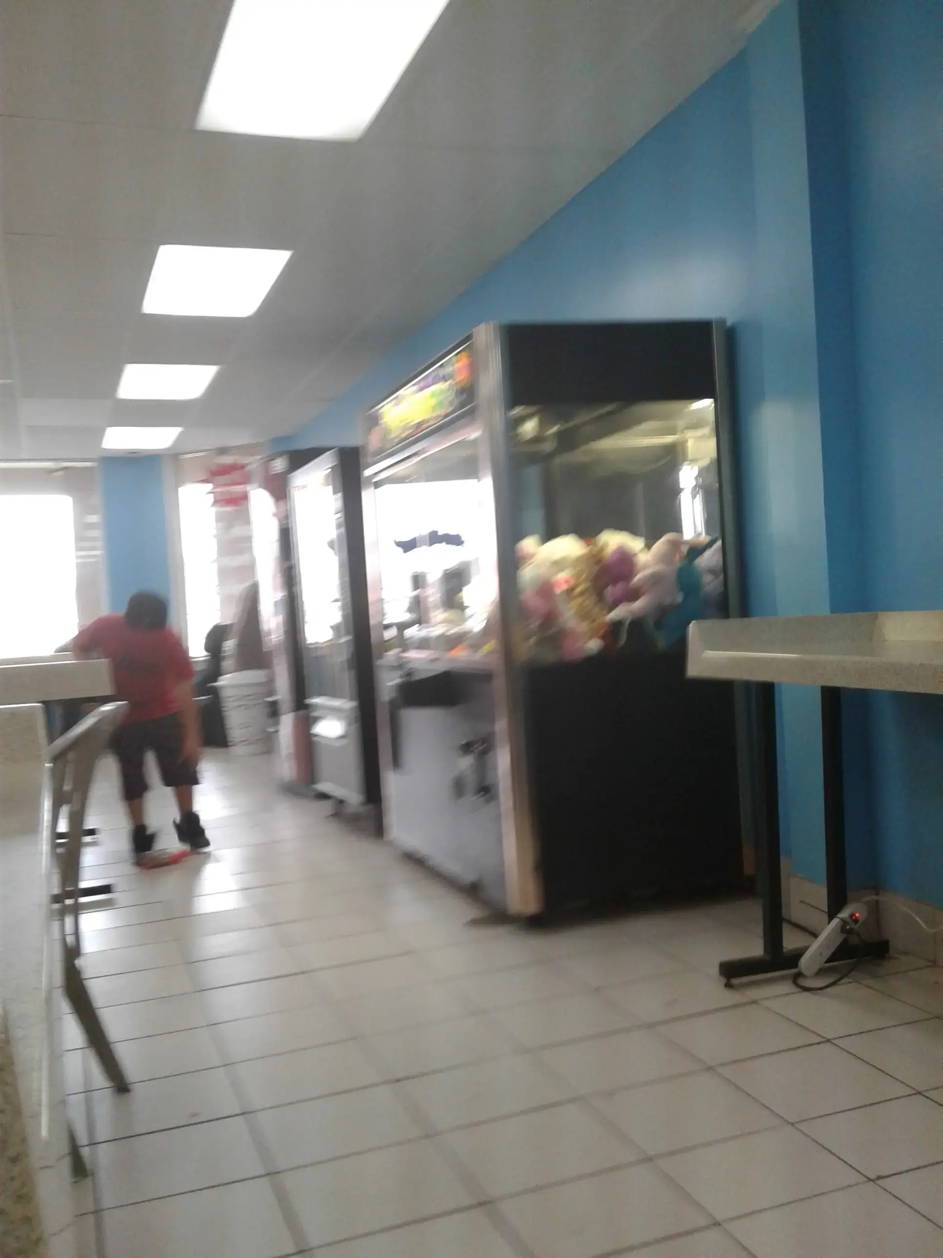 Dolphin Laundry - Image 13