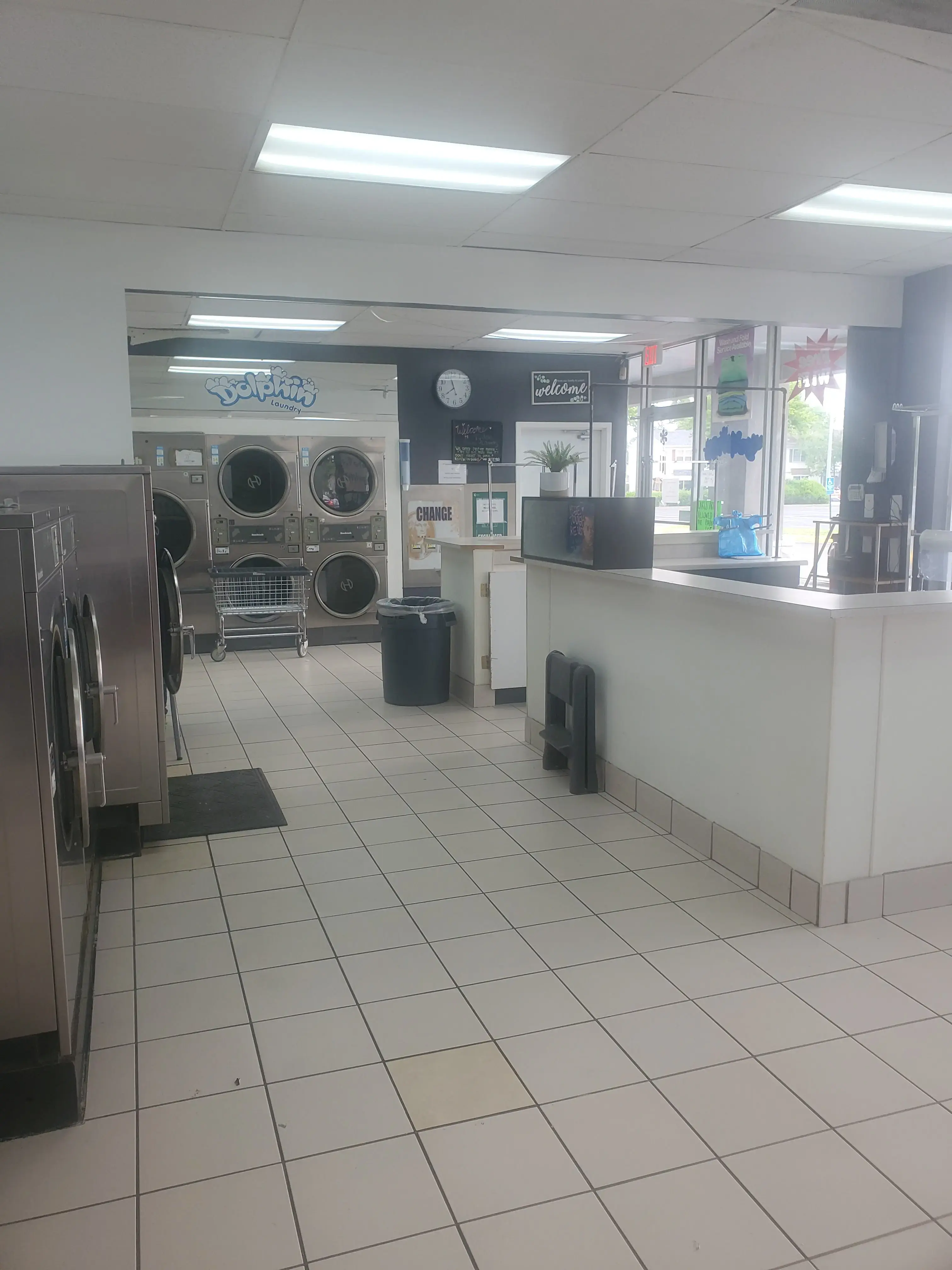 Dolphin Laundry thumbnail 19