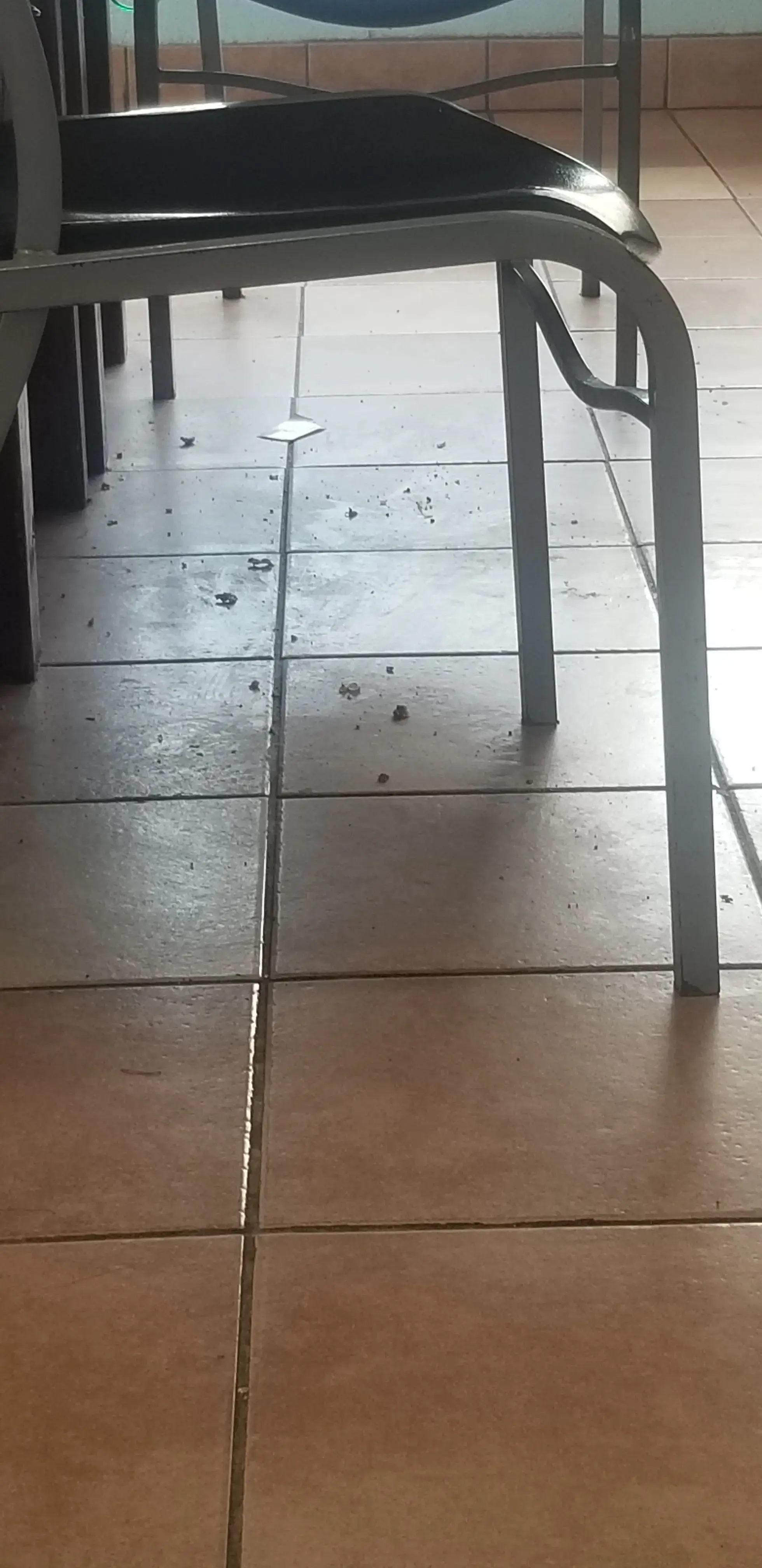 Dolton Laundry - Image 11