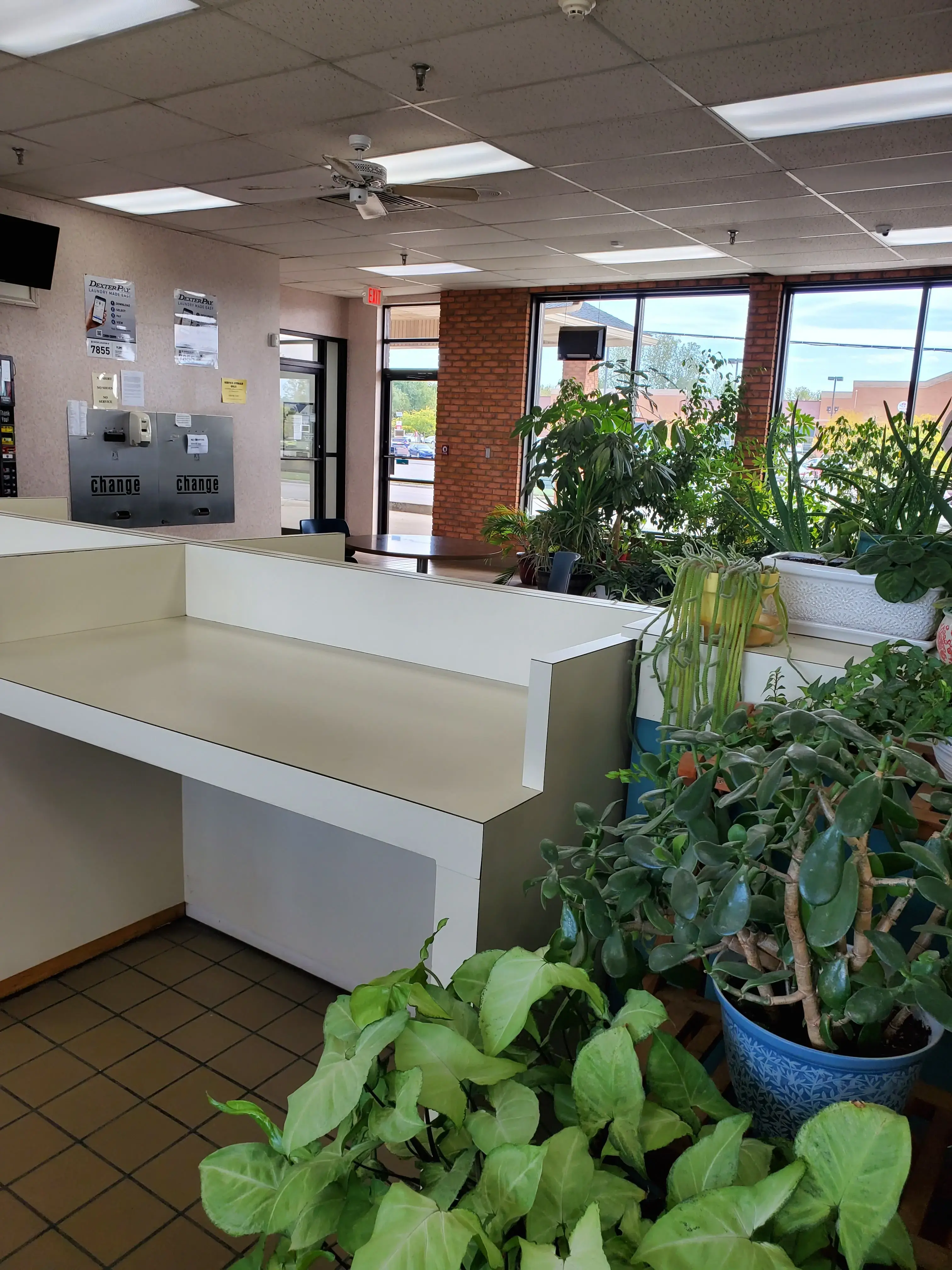Don's Claytons DCI Fine DryCleaning - Image 4