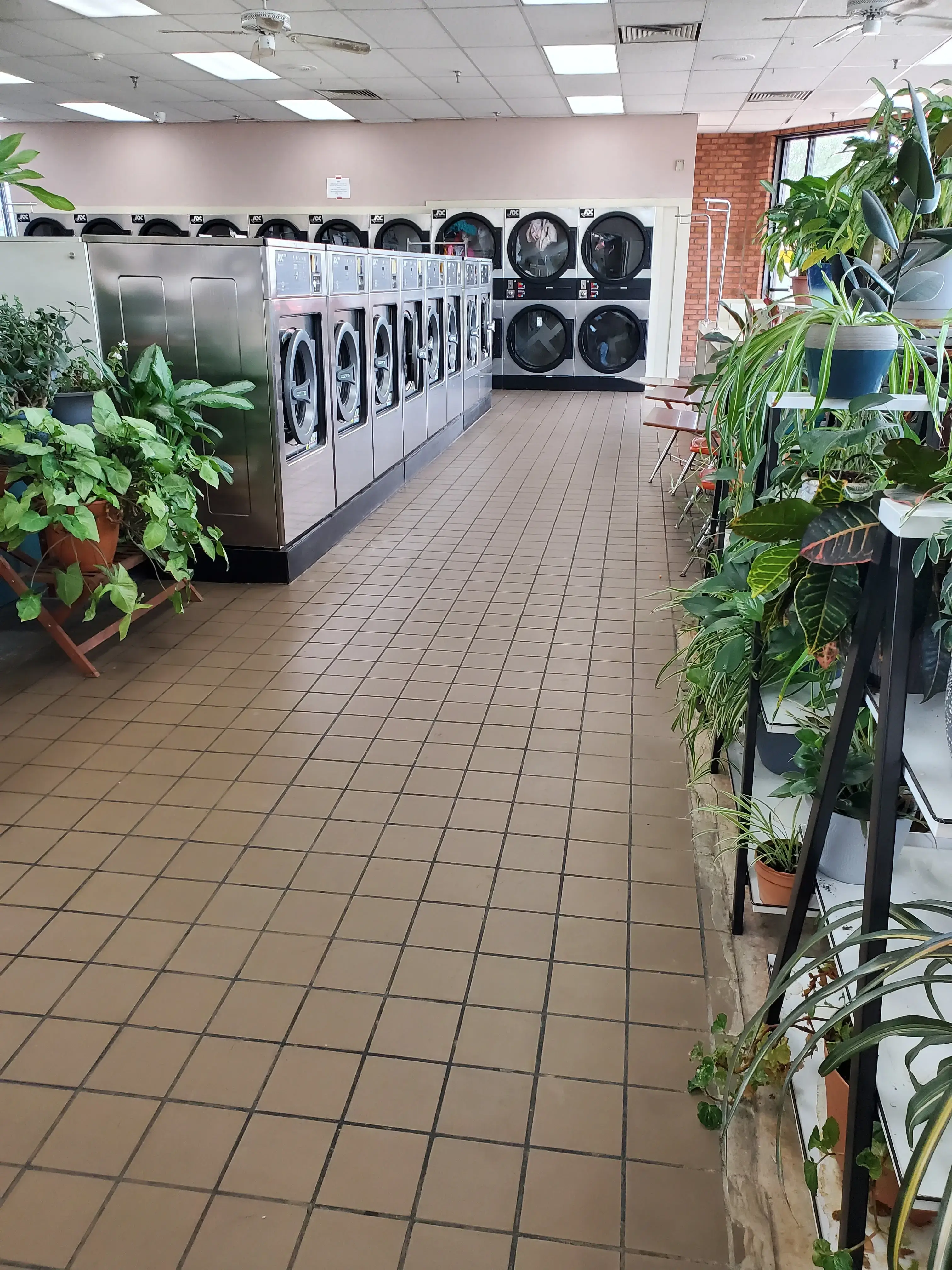 Don's Claytons DCI Fine DryCleaning - Image 3