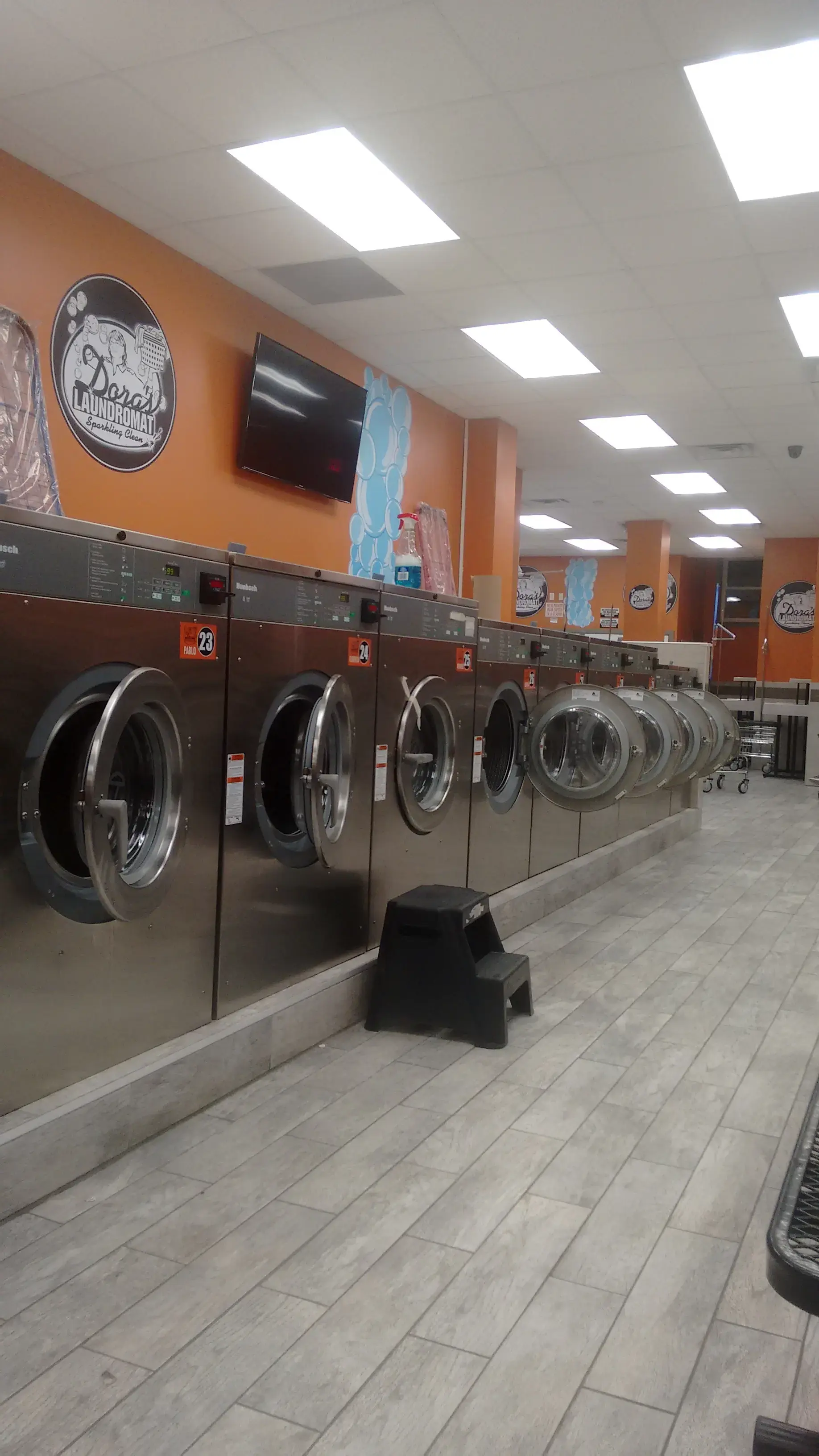 Dora's Laundromat thumbnail 12