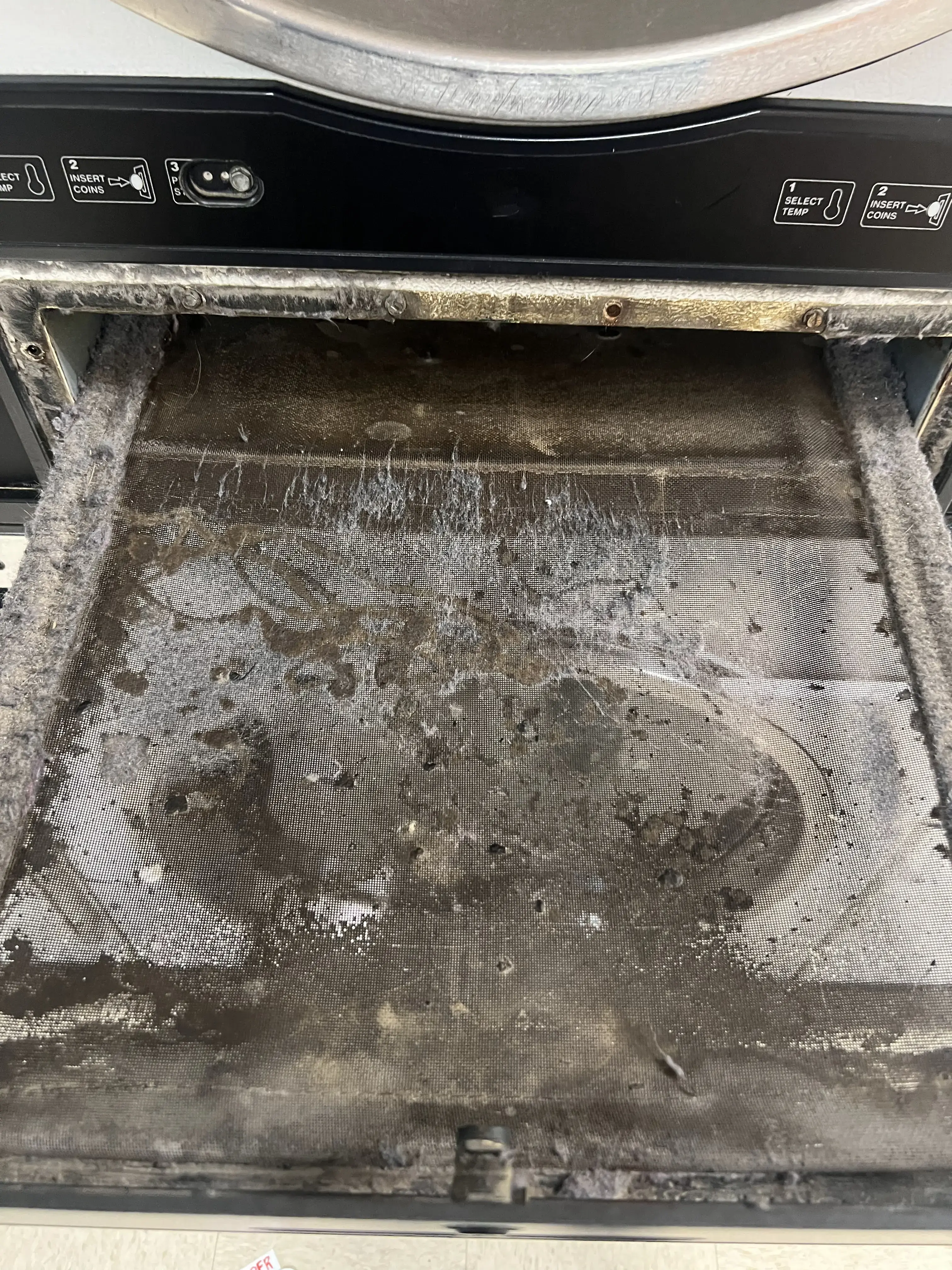 Double Bubble Laundries thumbnail 14