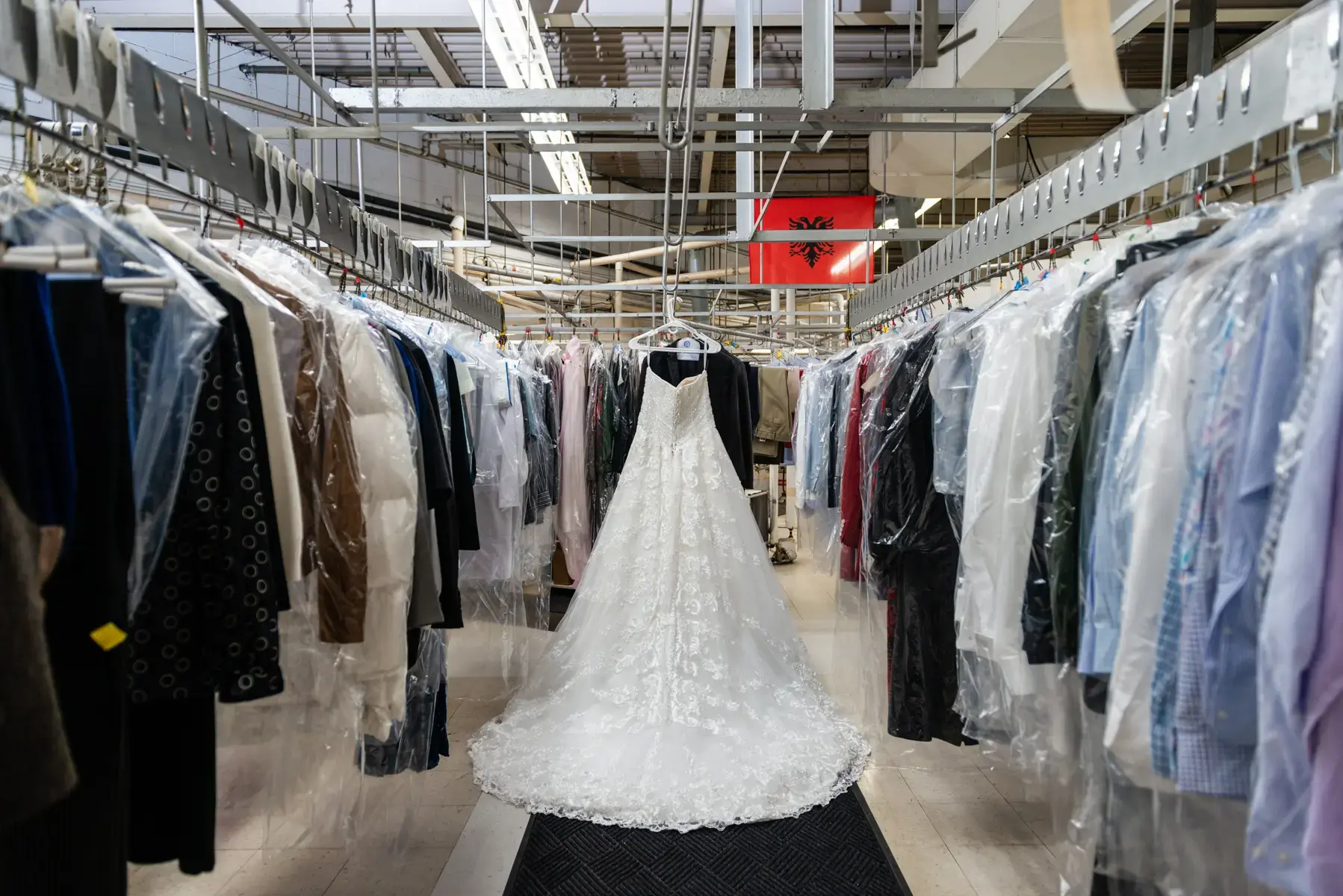 Douglas Cleaners - Image 6