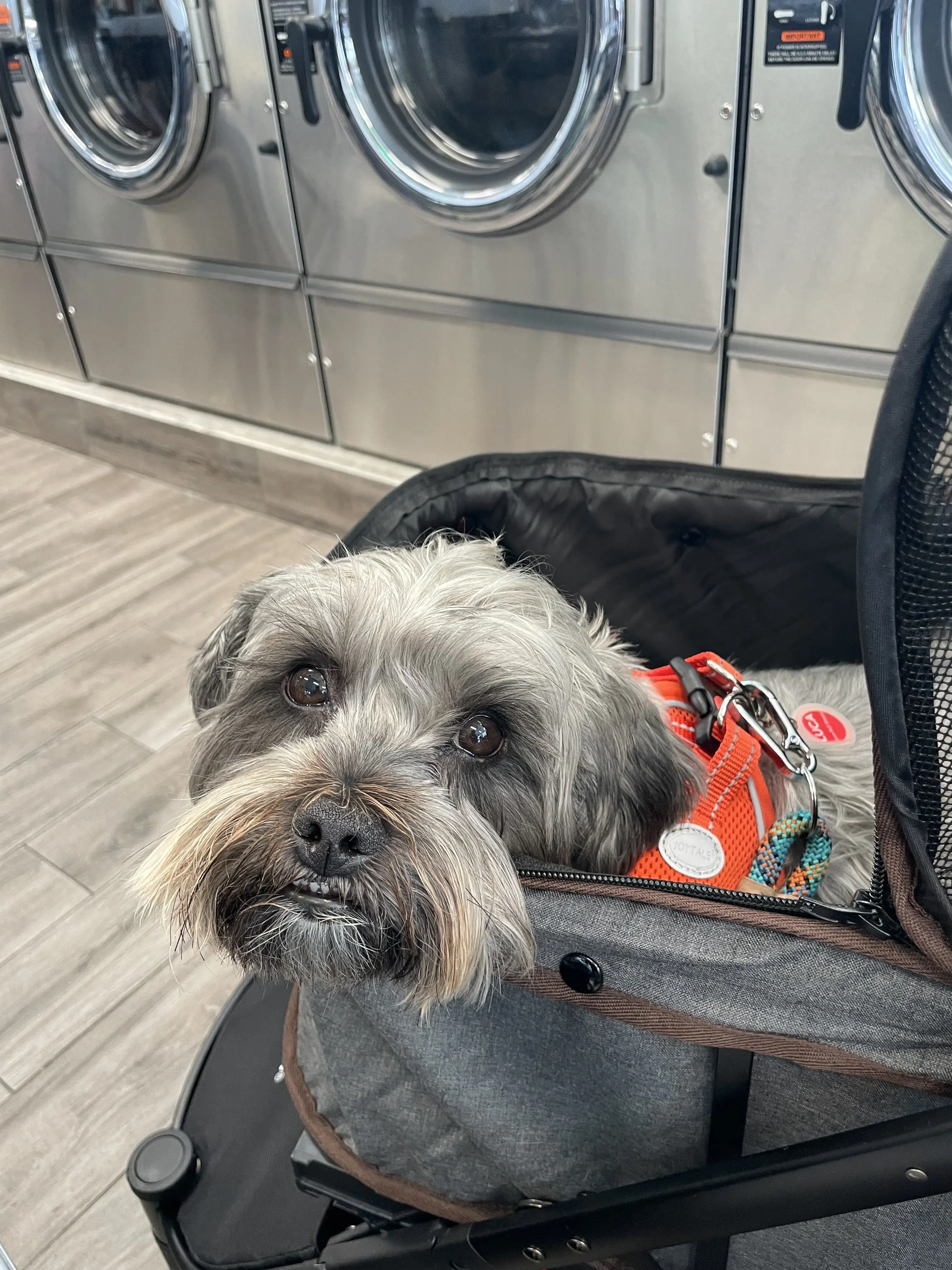 Downeck Laundromat thumbnail 5