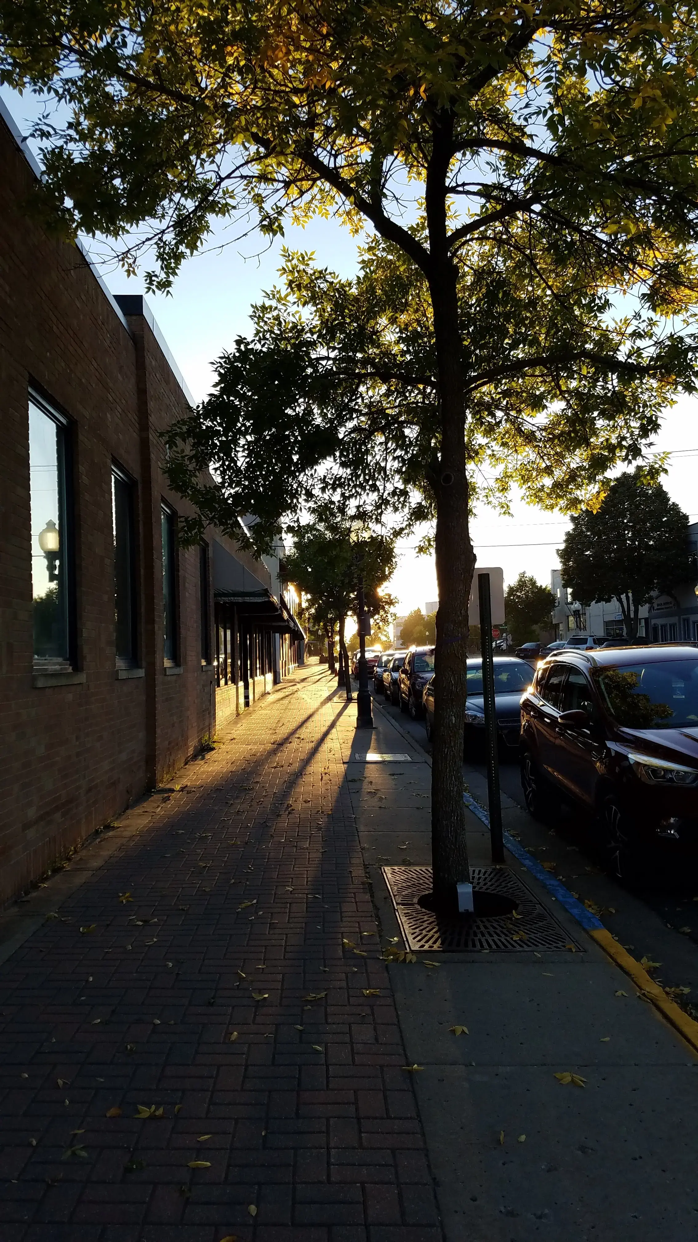 Downtown Laundry thumbnail 10