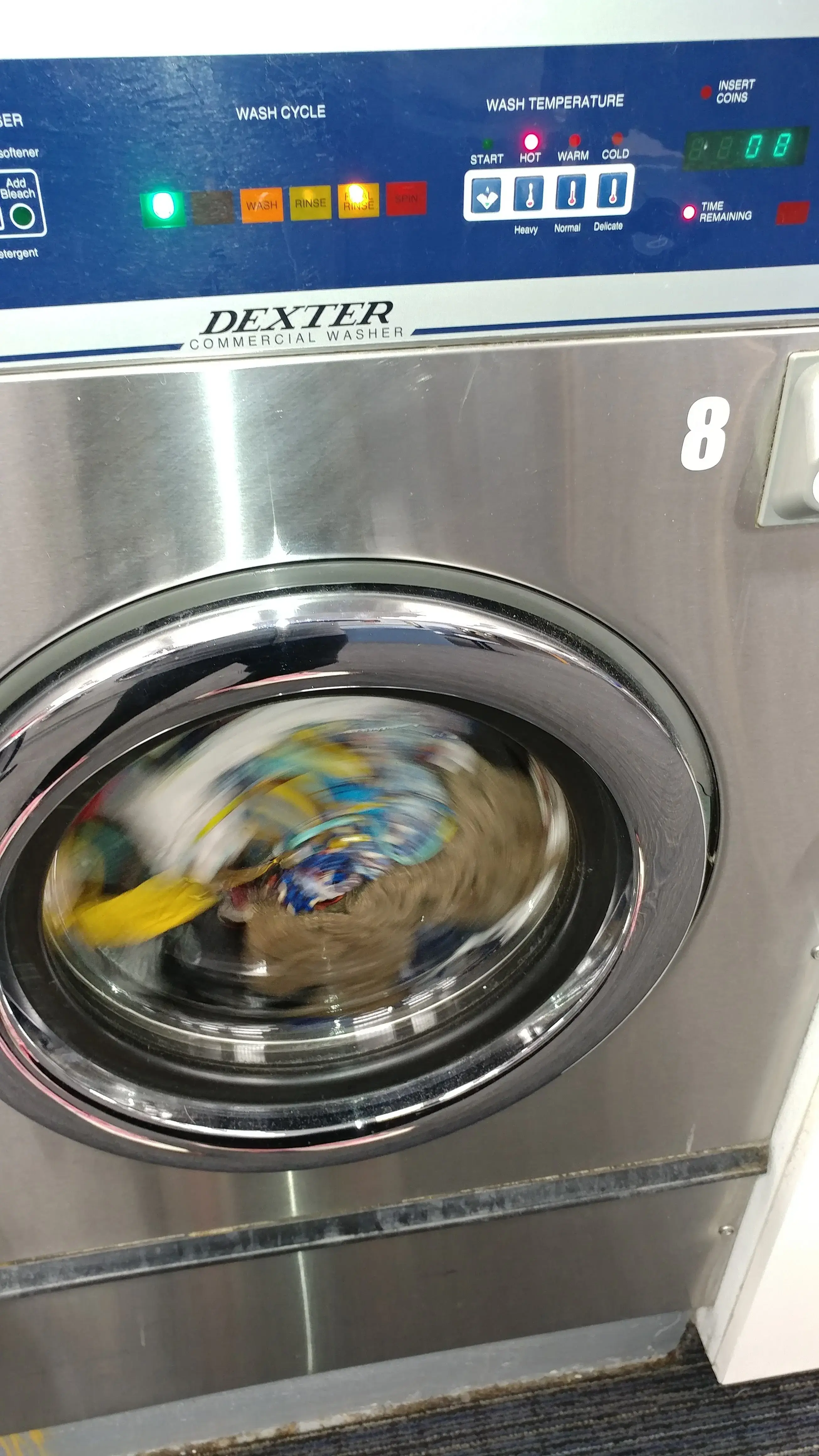Downtown Laundry Express thumbnail 12
