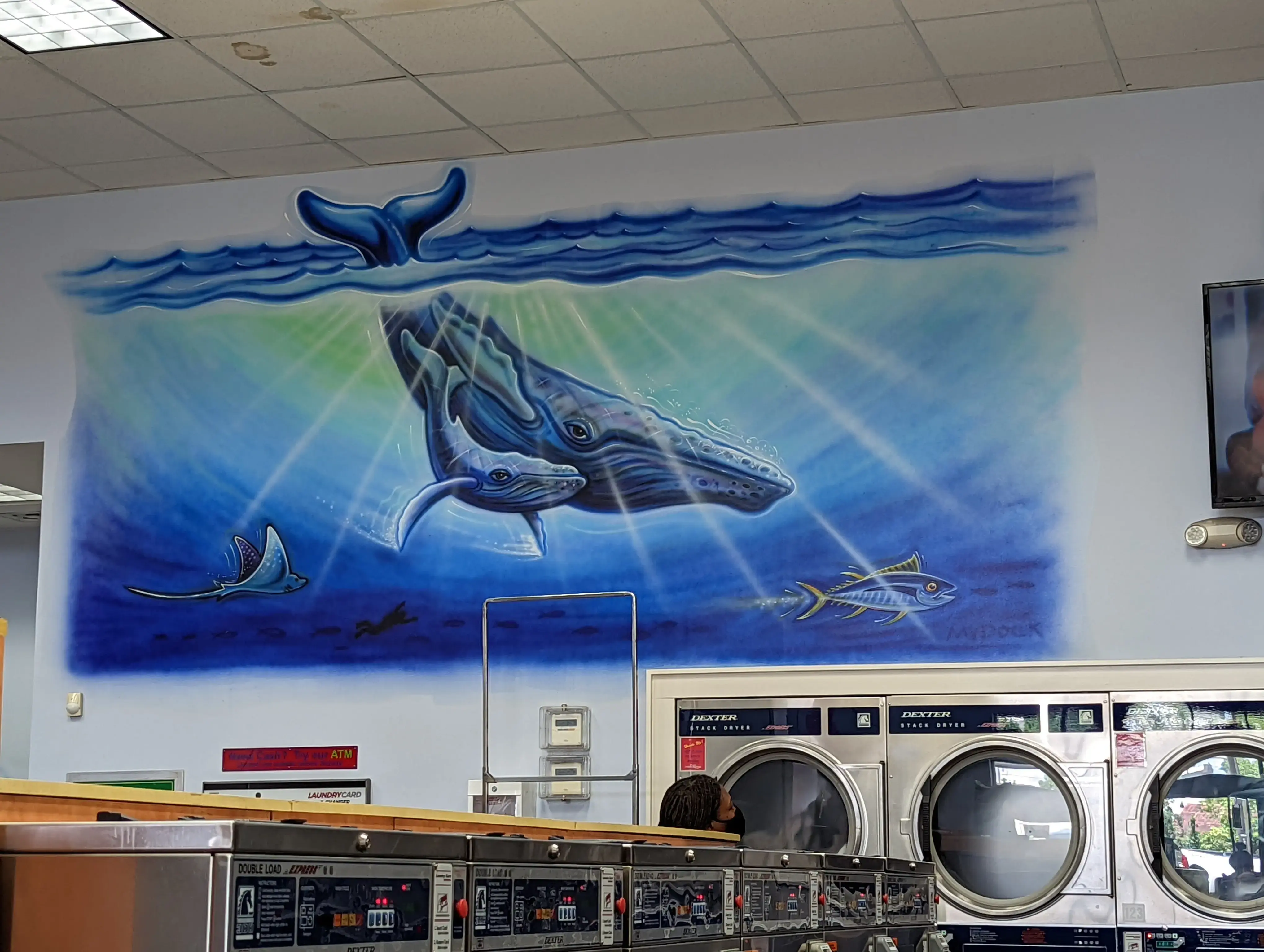 Downtown Laundry Express thumbnail 5