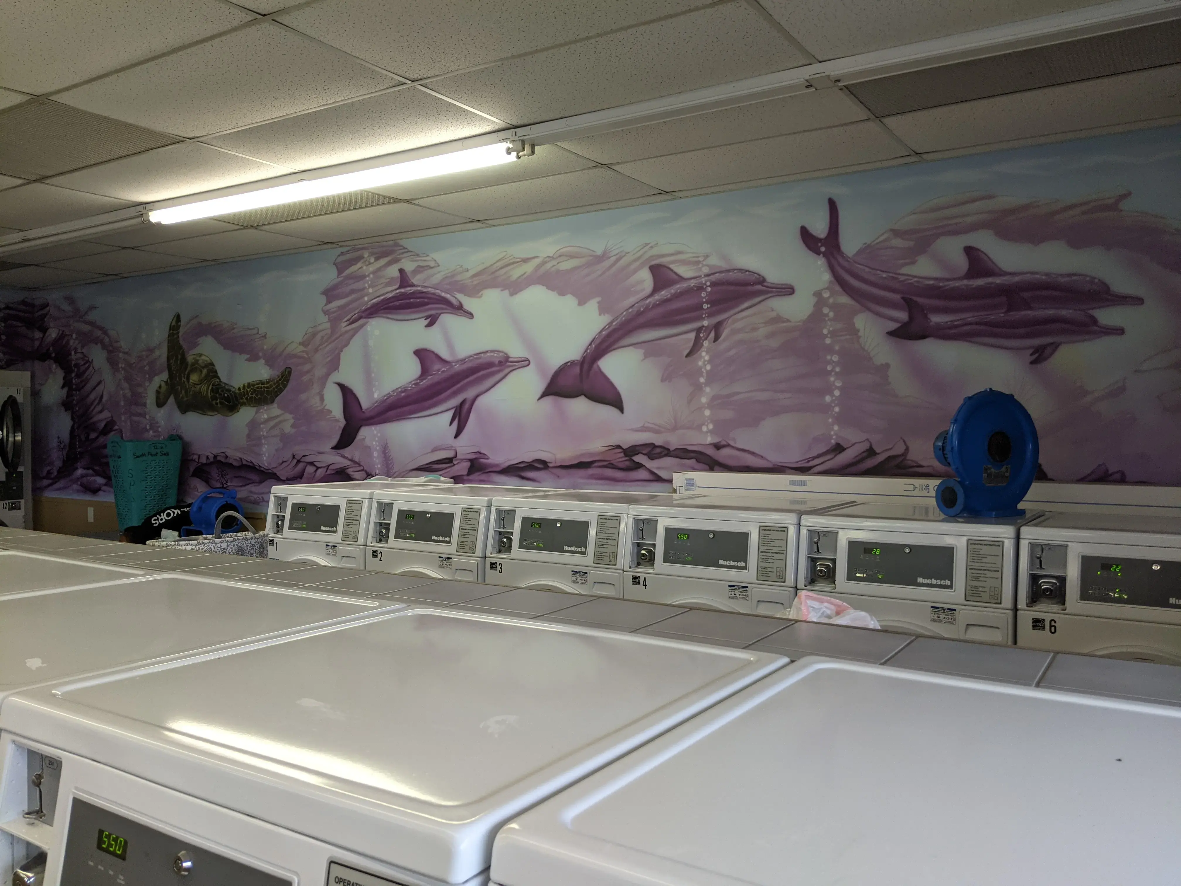 Dragon Laundry - Image 6