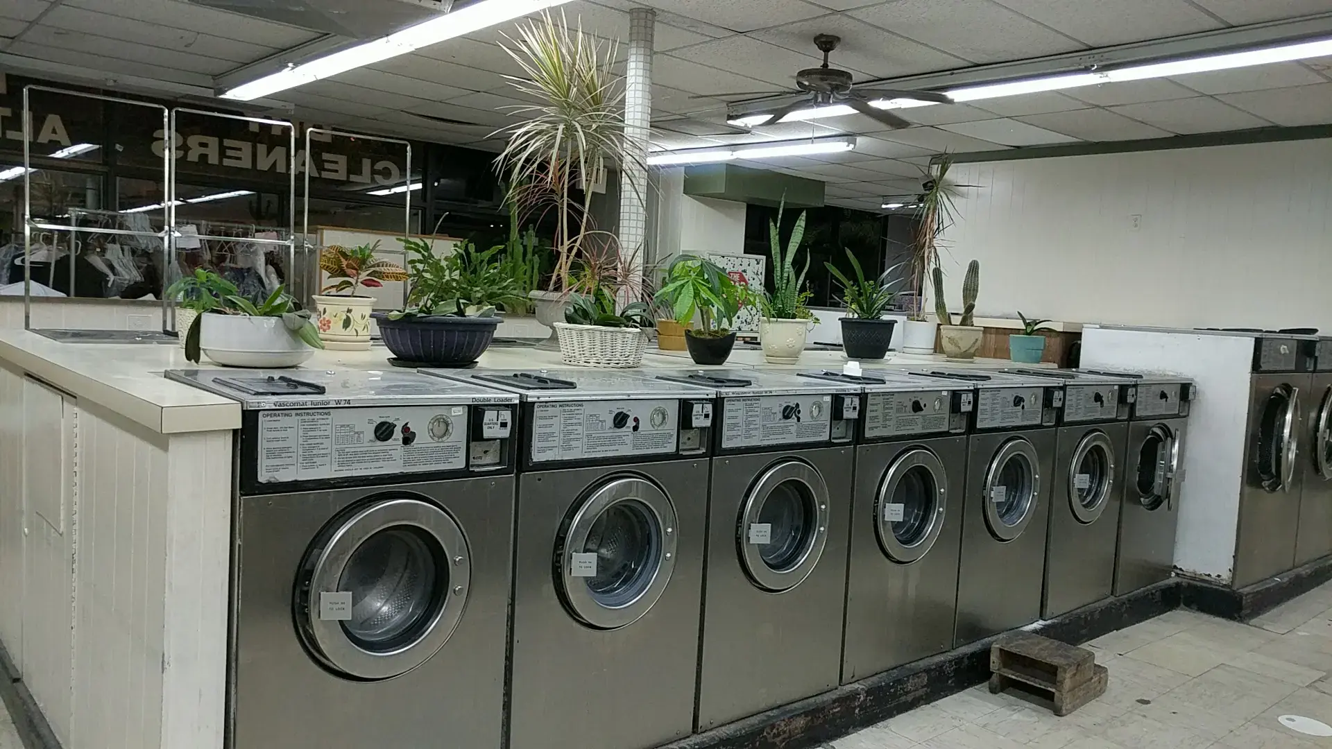 Dreamland Clean & Wash - Image 15